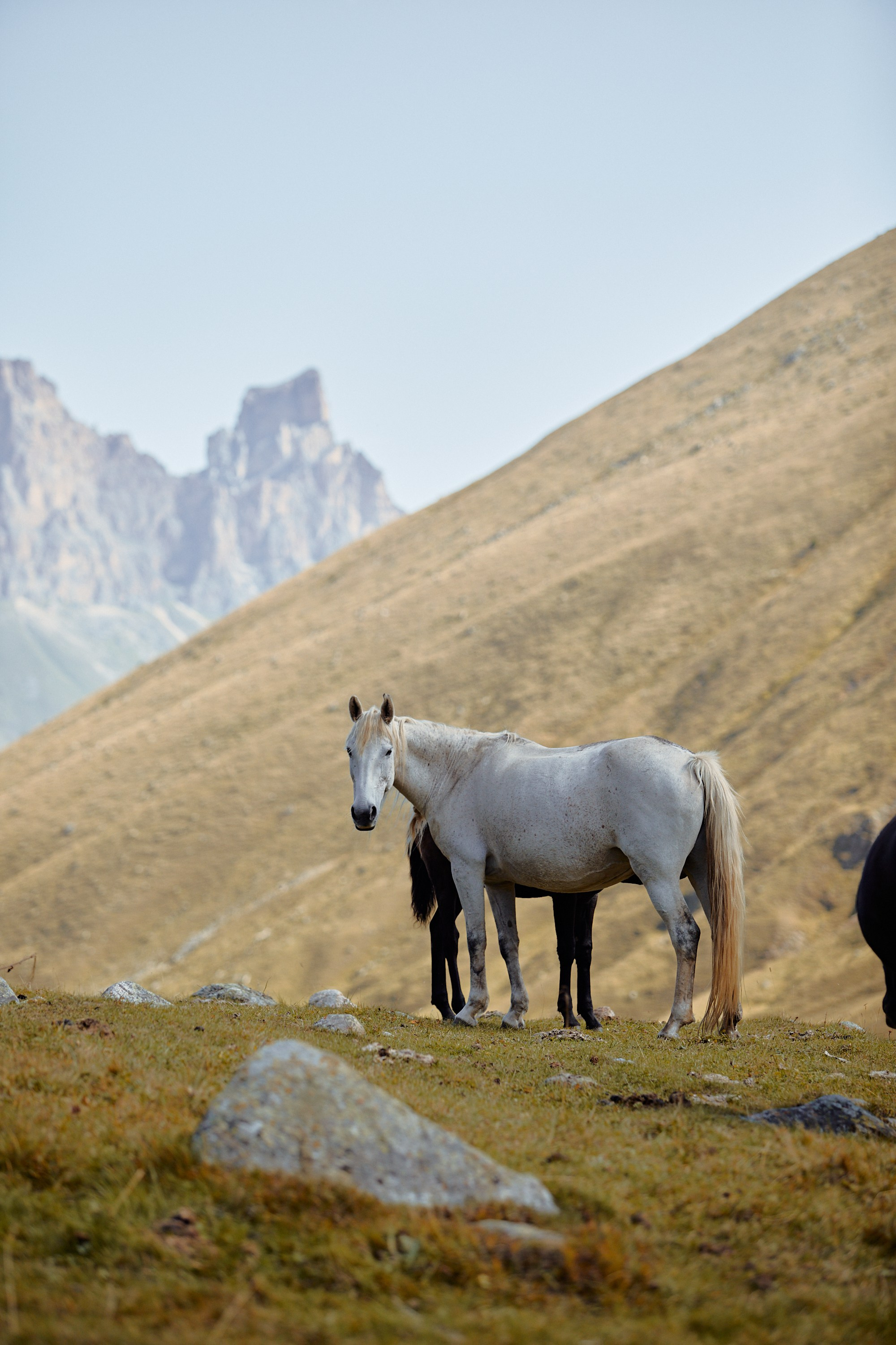 Озеро Гийбашкель. Фотограф Продюсер в горах КБР / Москва  Нальчик Горы
