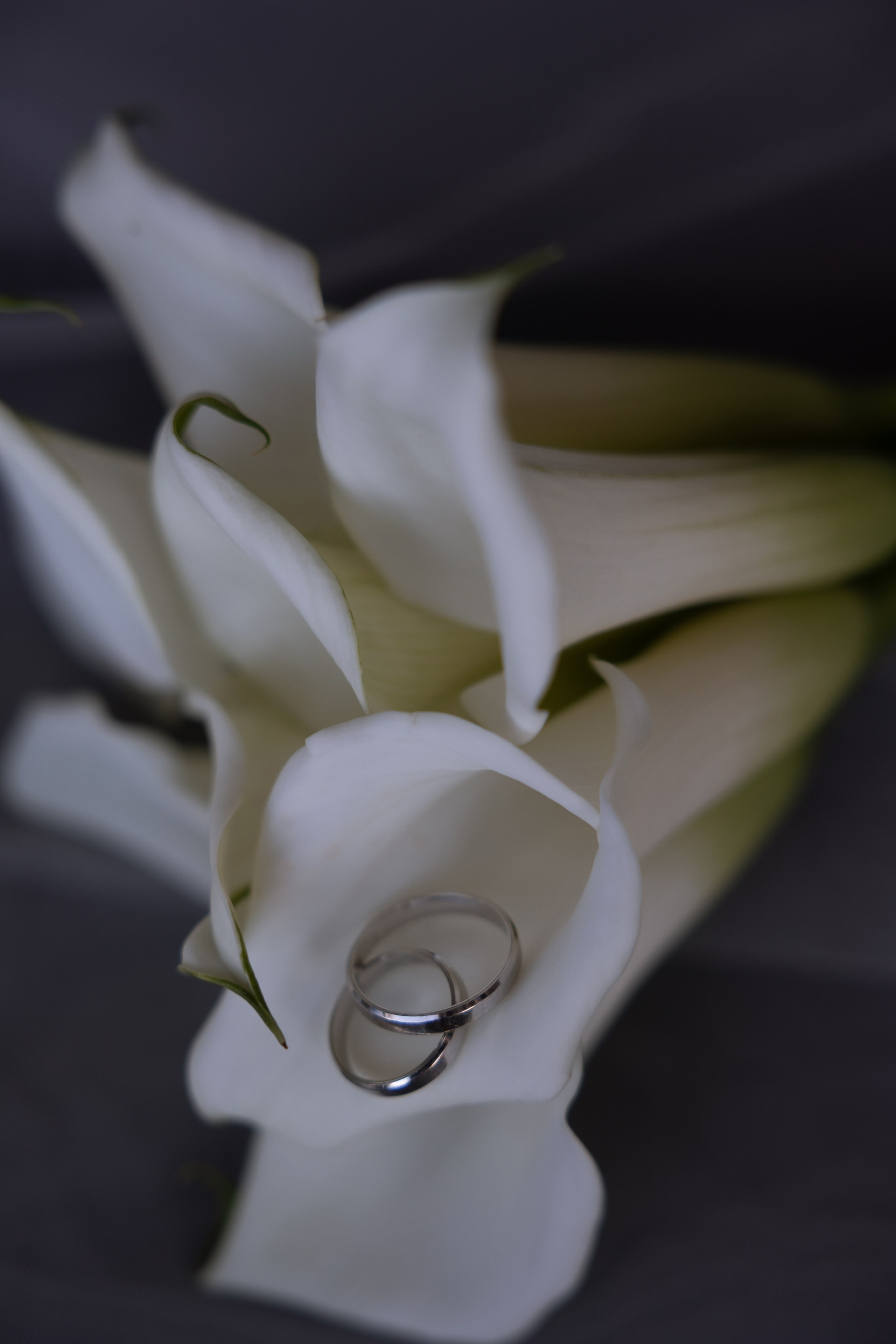 Инна и Андрей. Свадебный фотограф в Санкт — Петербурге и Ленинградской о