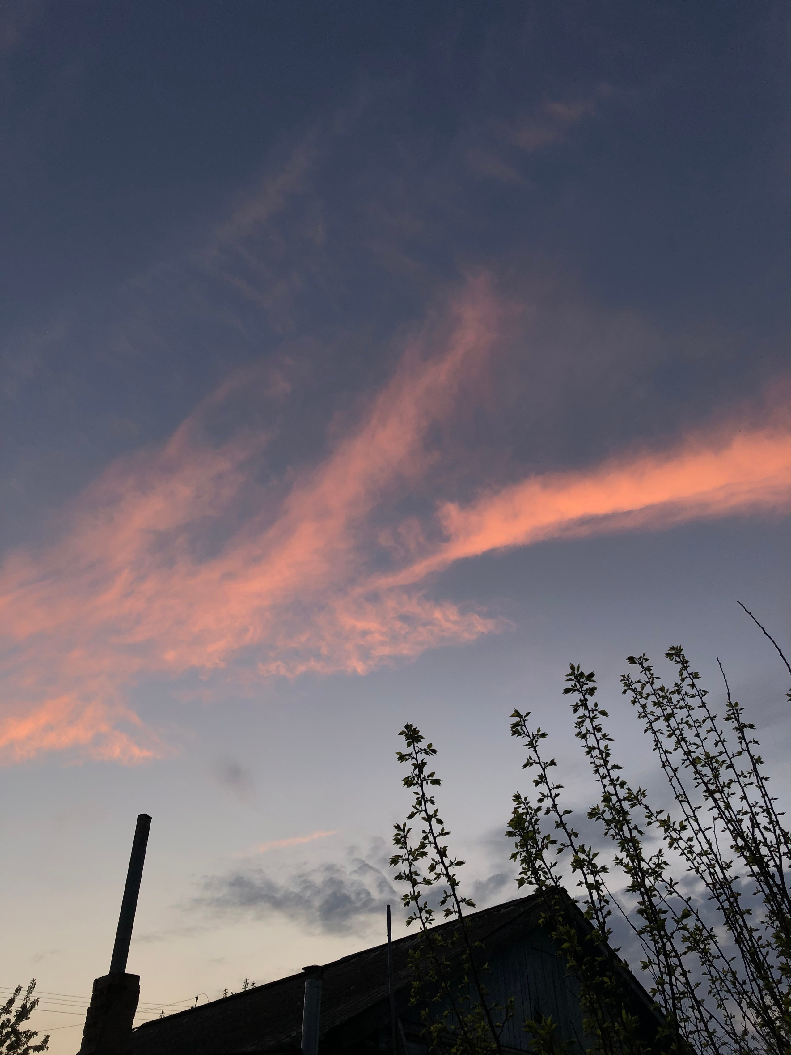 Визуальный дневник. Портретный фотограф в Москве Гахраманова Екатерина