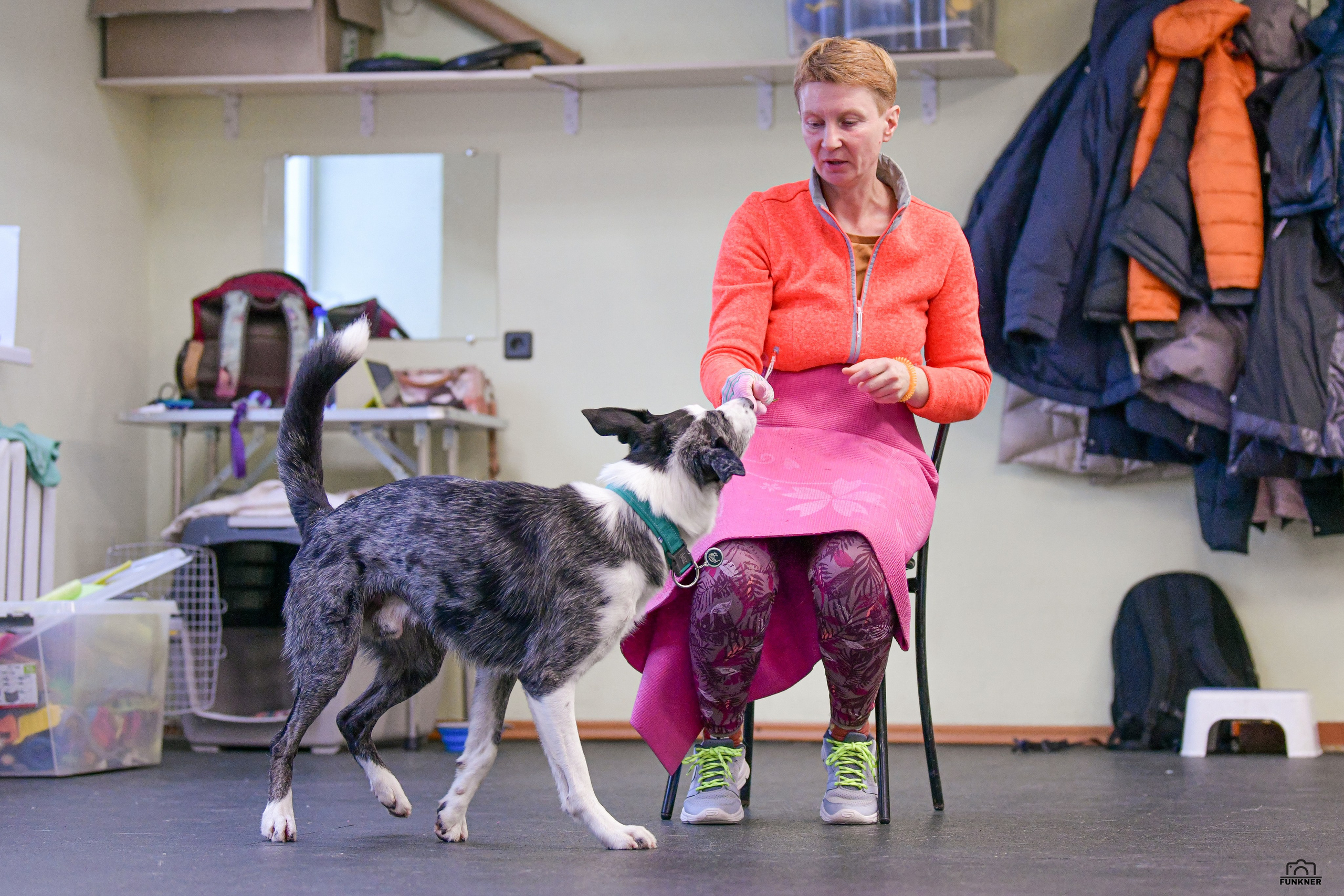 Кинологический клуб «Бодрый хвост». Свой взгляд через объектив