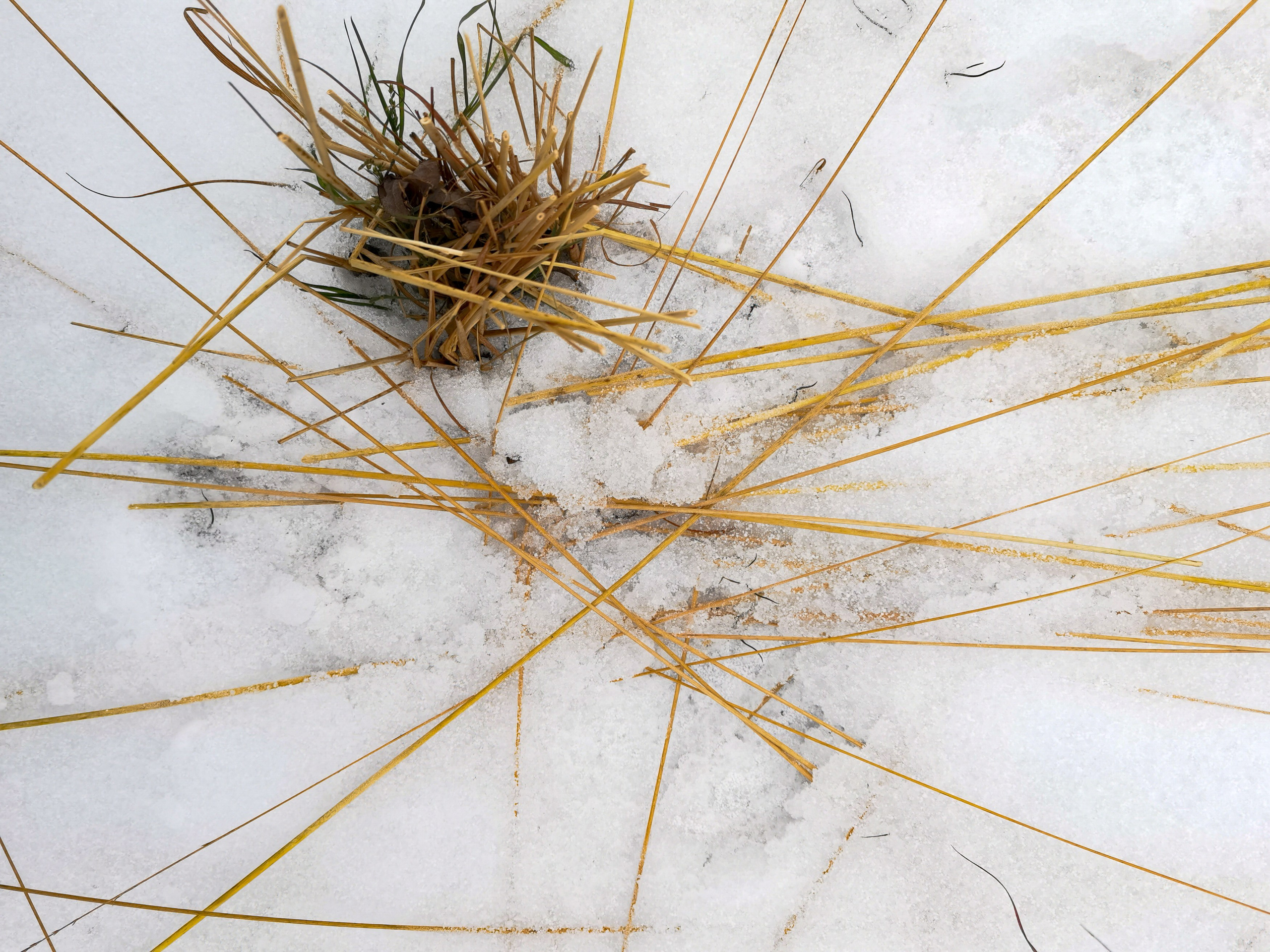 Landscape, nature, plants, details of the world around us. Personal website of photographer Dmitry Raikin