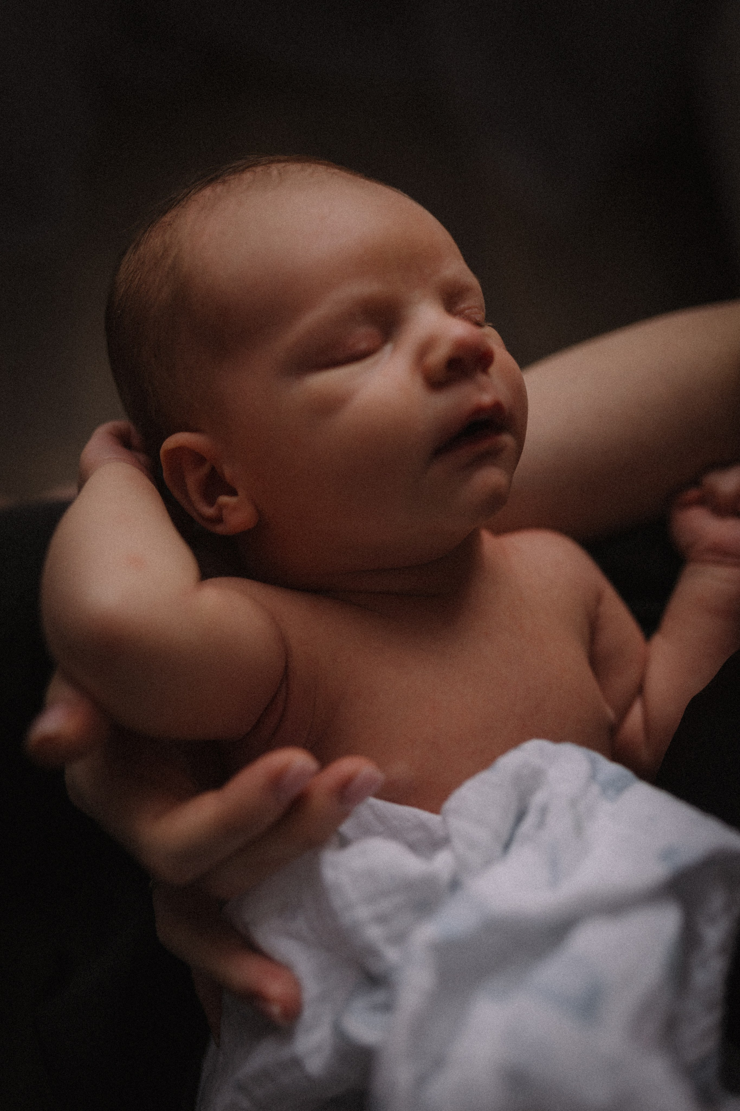 Лев. Семейный фотограф в Москве и Люберцах Юлия Гуськова