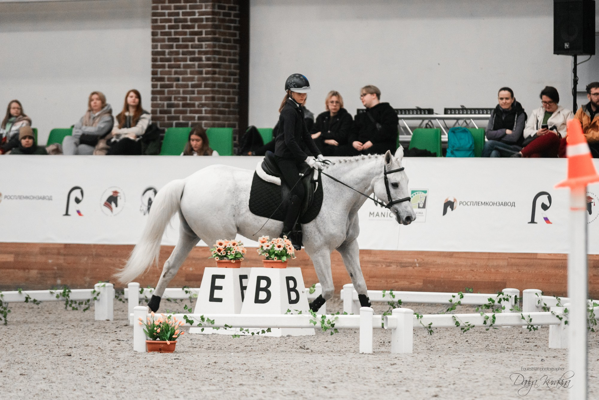 8-я международная выставка Конная Россия. Конный фотограф Куракина Дарья • Фотосессии с лошадьми