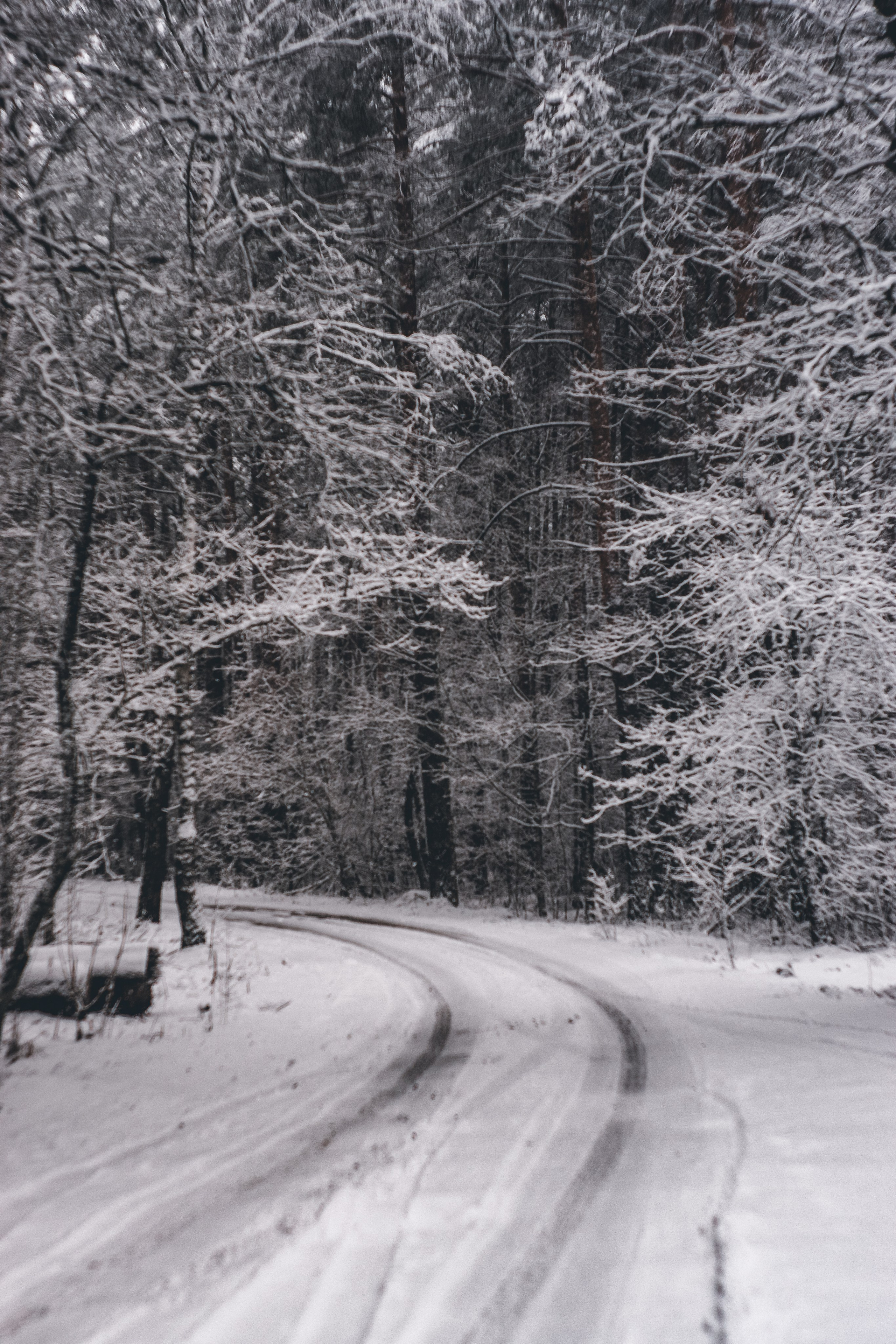 ЧБ  пейзажи (BnW landscape). Фотограф (photographer) Lischinski Vitaliy