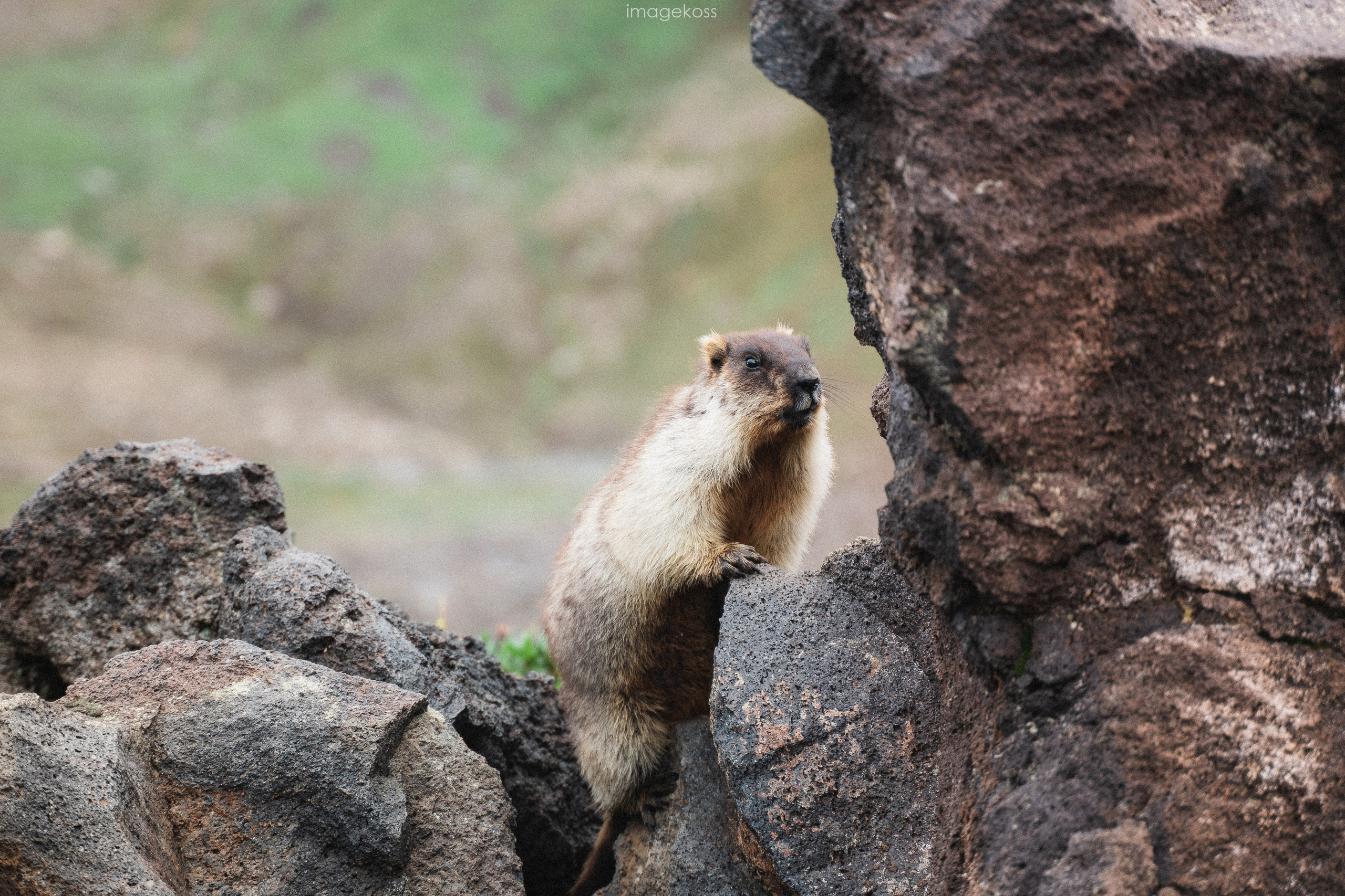 Камчатка. Фотограф в поход и восхождение на Эльбрус Игорь Косарев