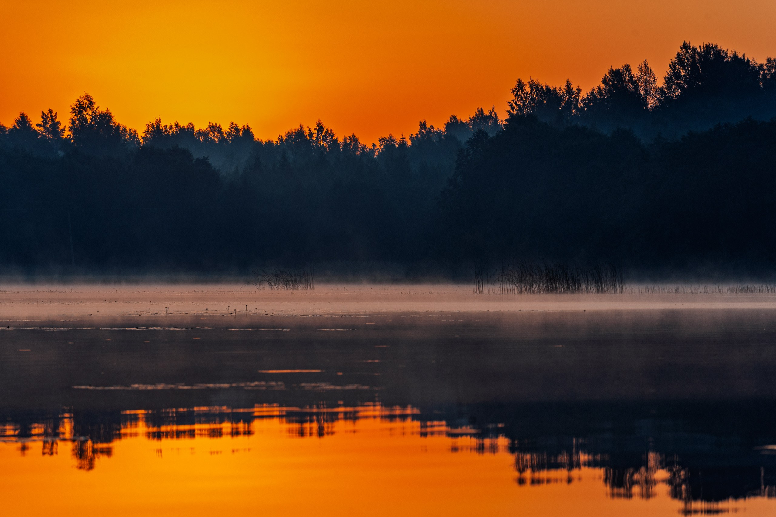 Летние тренировочные боры Школы Боевых Искусств «МОН», Валдай 2011 г. природа