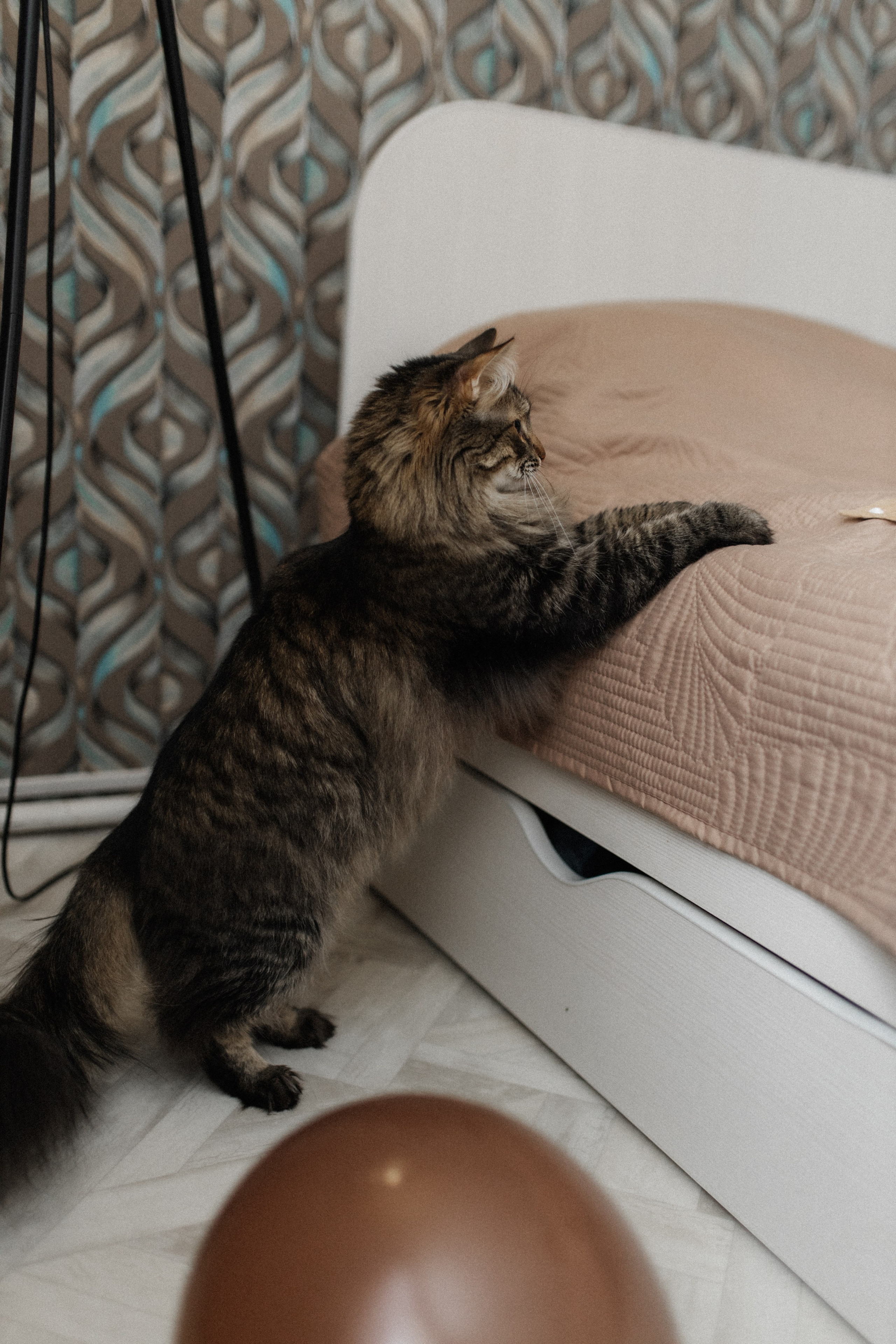 Фотосессии. Фотограф в Каргополе и Няндоме