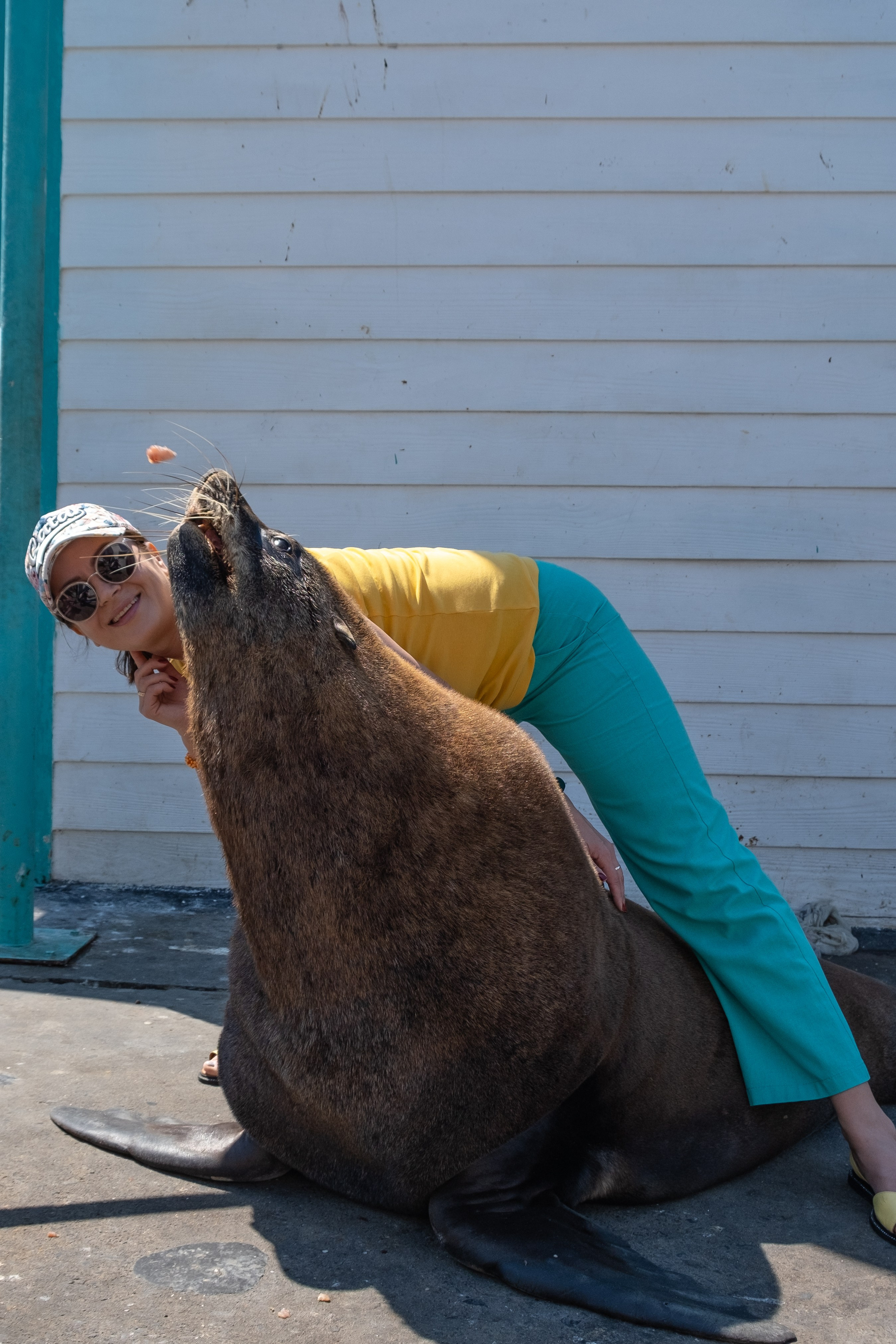 Морские котики и закат. Фотографии из путешествий