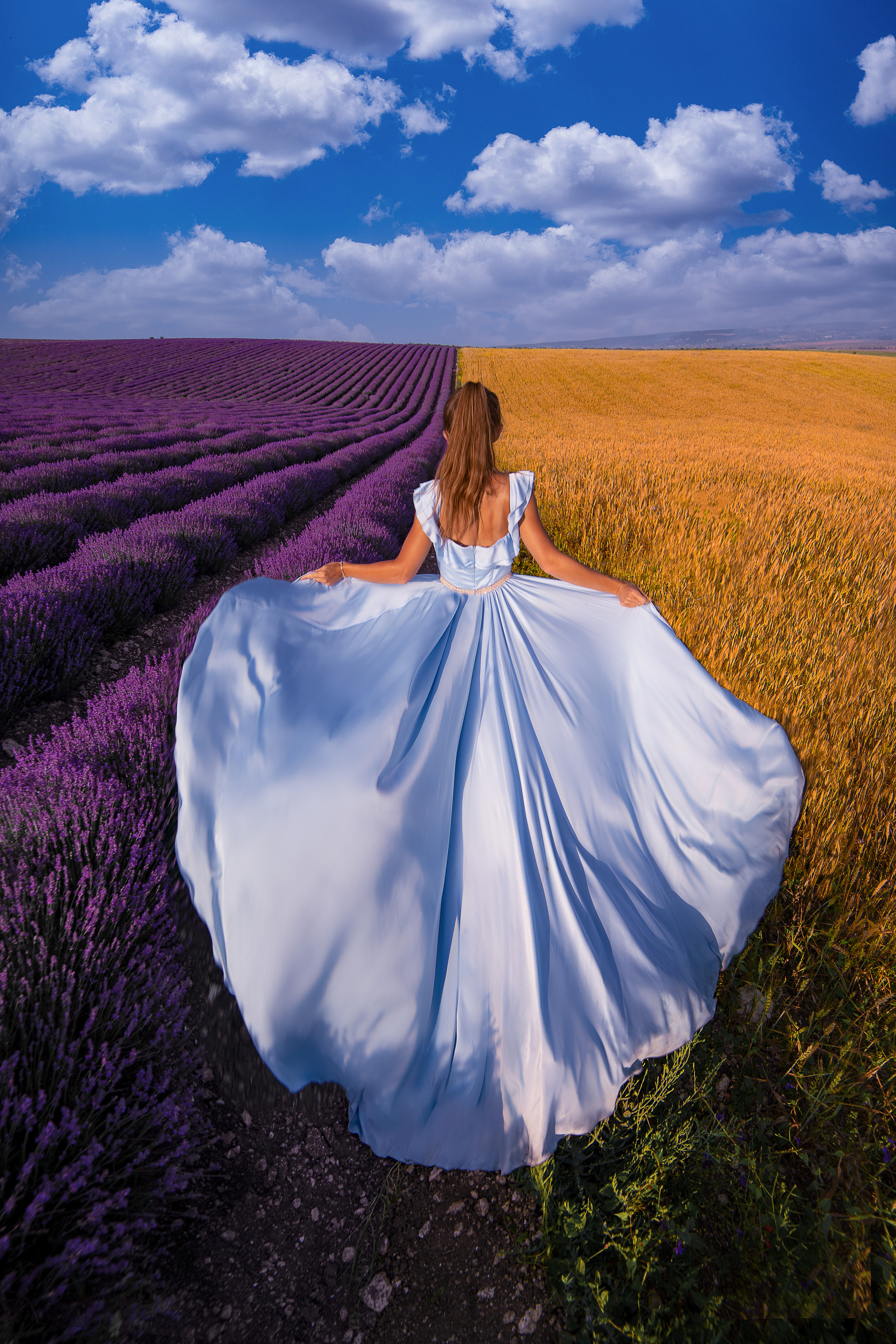 Лавандовое поле (Тургеневка). Фотограф в Крыму Лебедева Александра