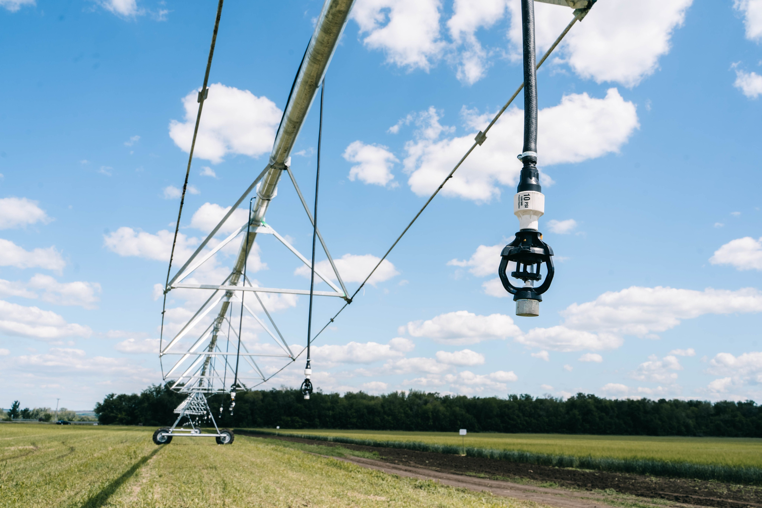 Фестиваль «Самарский день поля» в Угорье. Фотограф Сергей Логинов