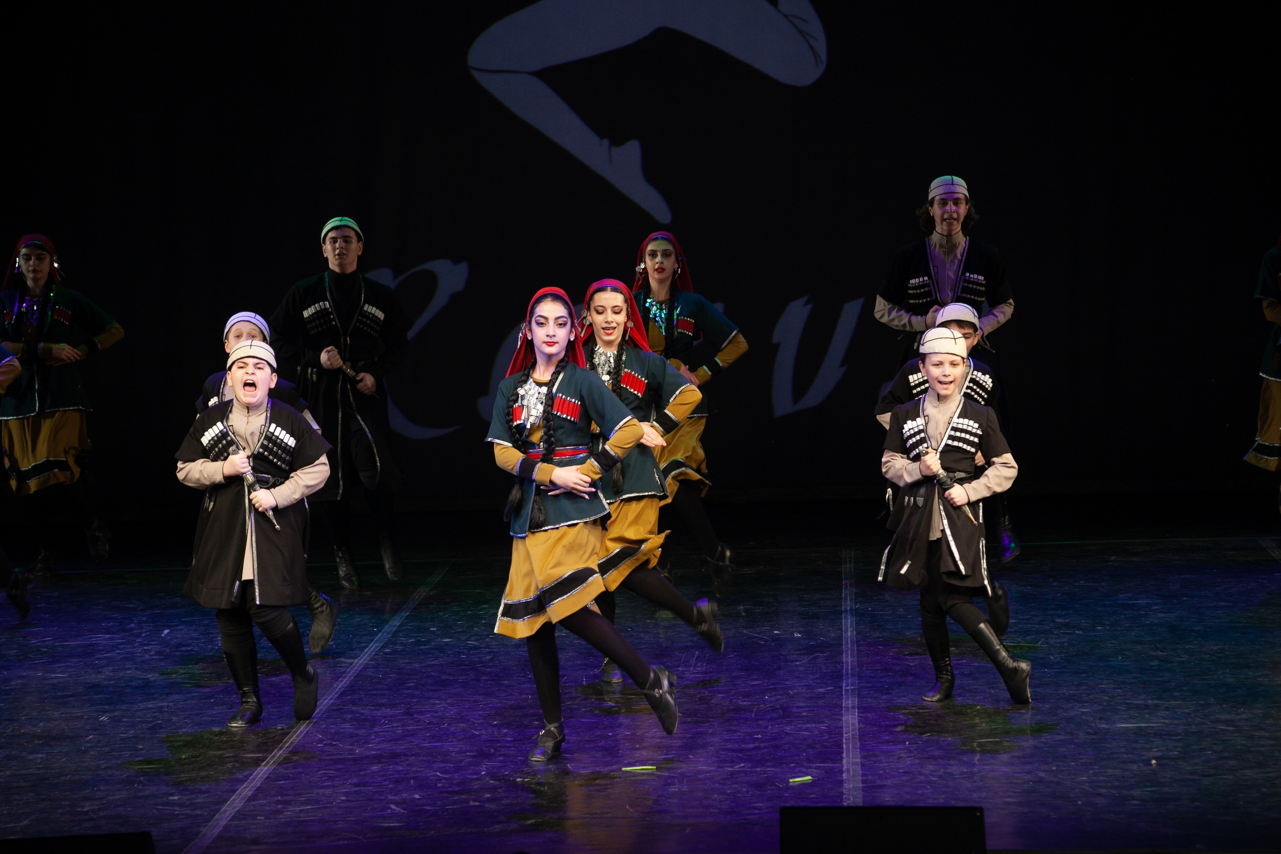 Концерт, грузинские танцы. Art photographer Nino