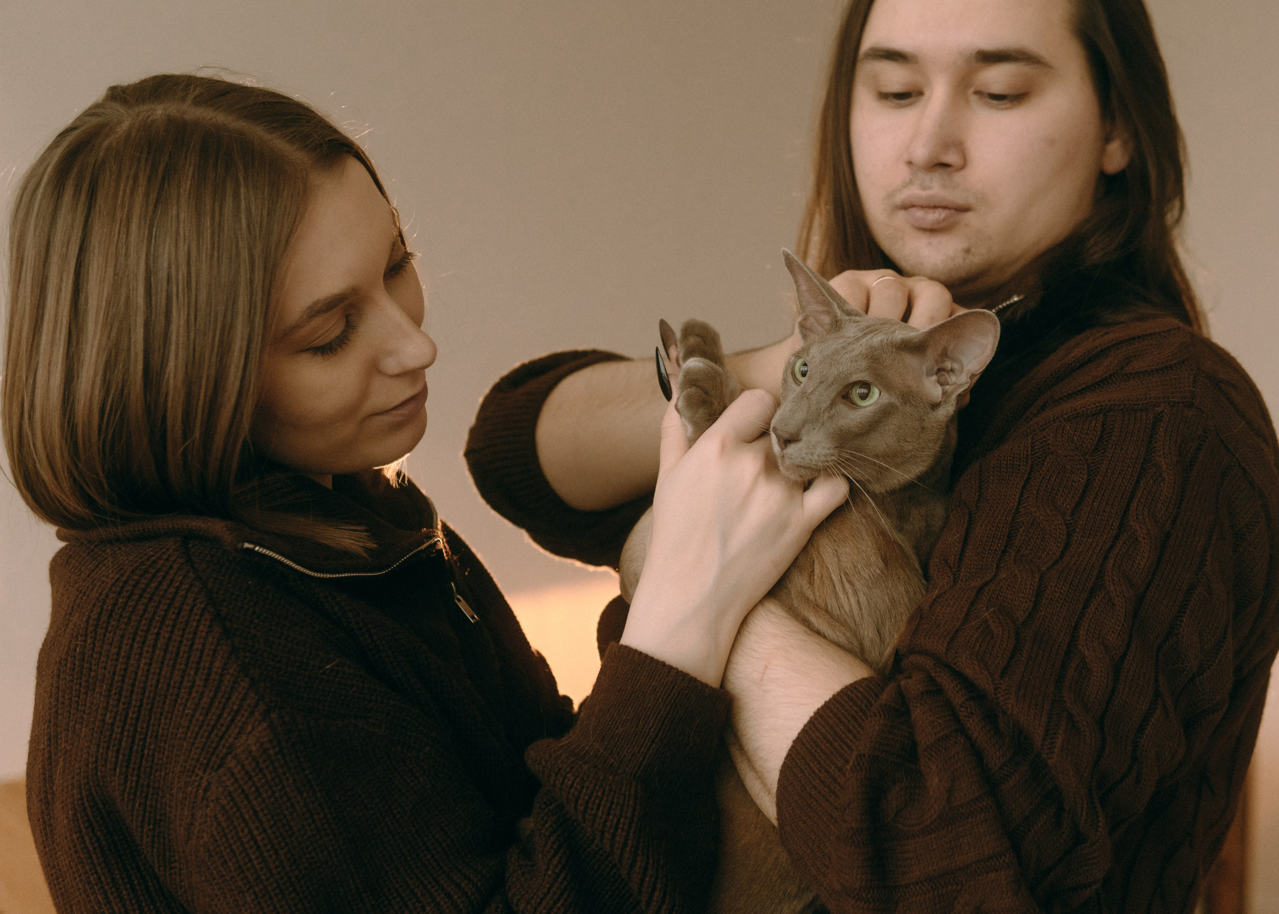 Амина, Булат и Орион. Фотограф-анималист Ксения Воробьева, Москва