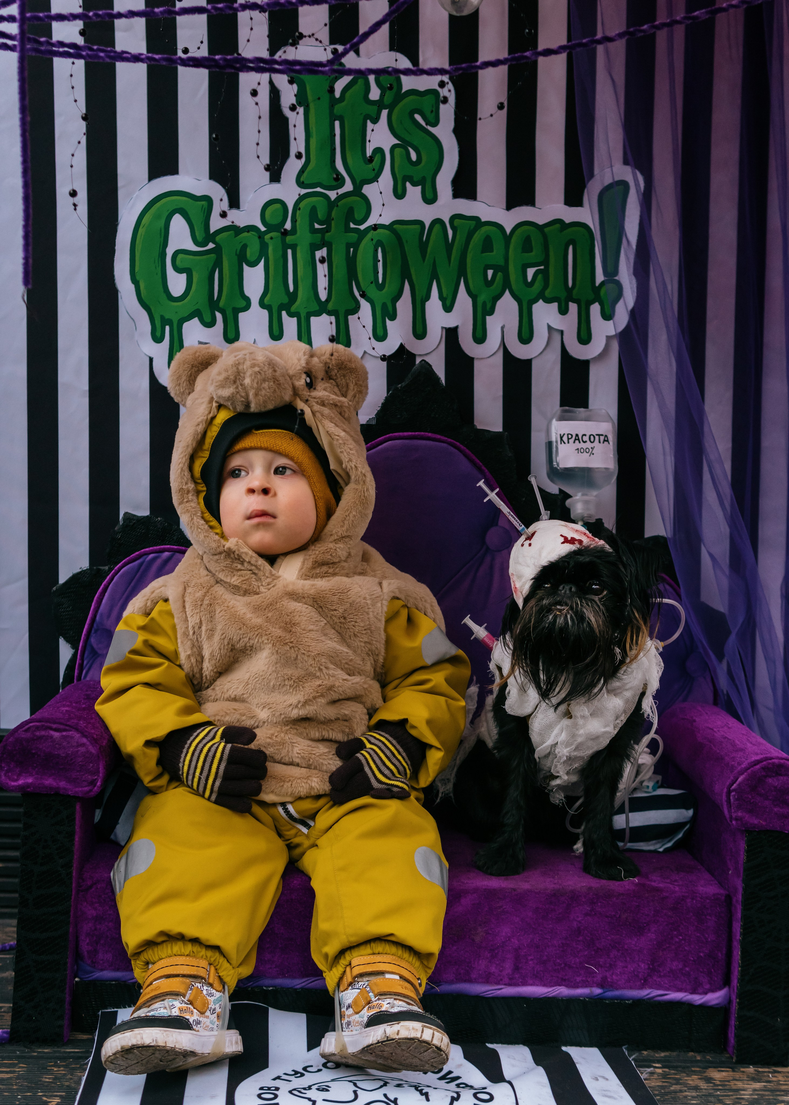 Тематическая встреча породников «Griffween». Фотограф-анималист Ксения Воробьева, Москва