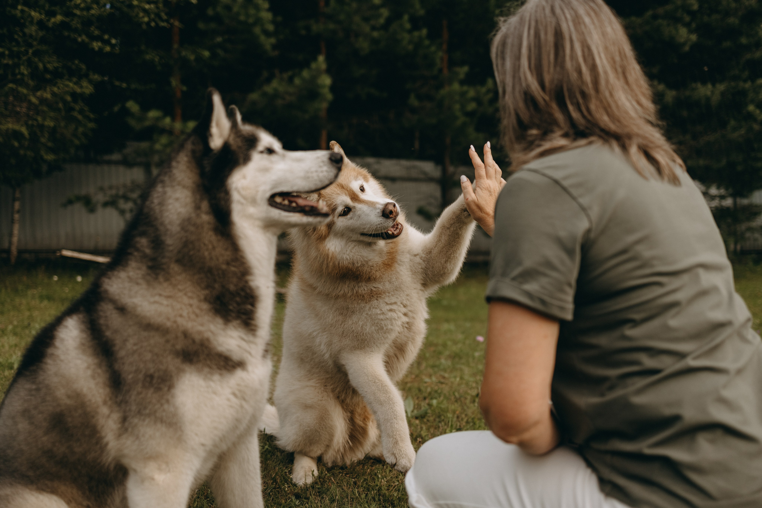 Дом у реки. Фотограф — Анималист | Санкт-Петербург