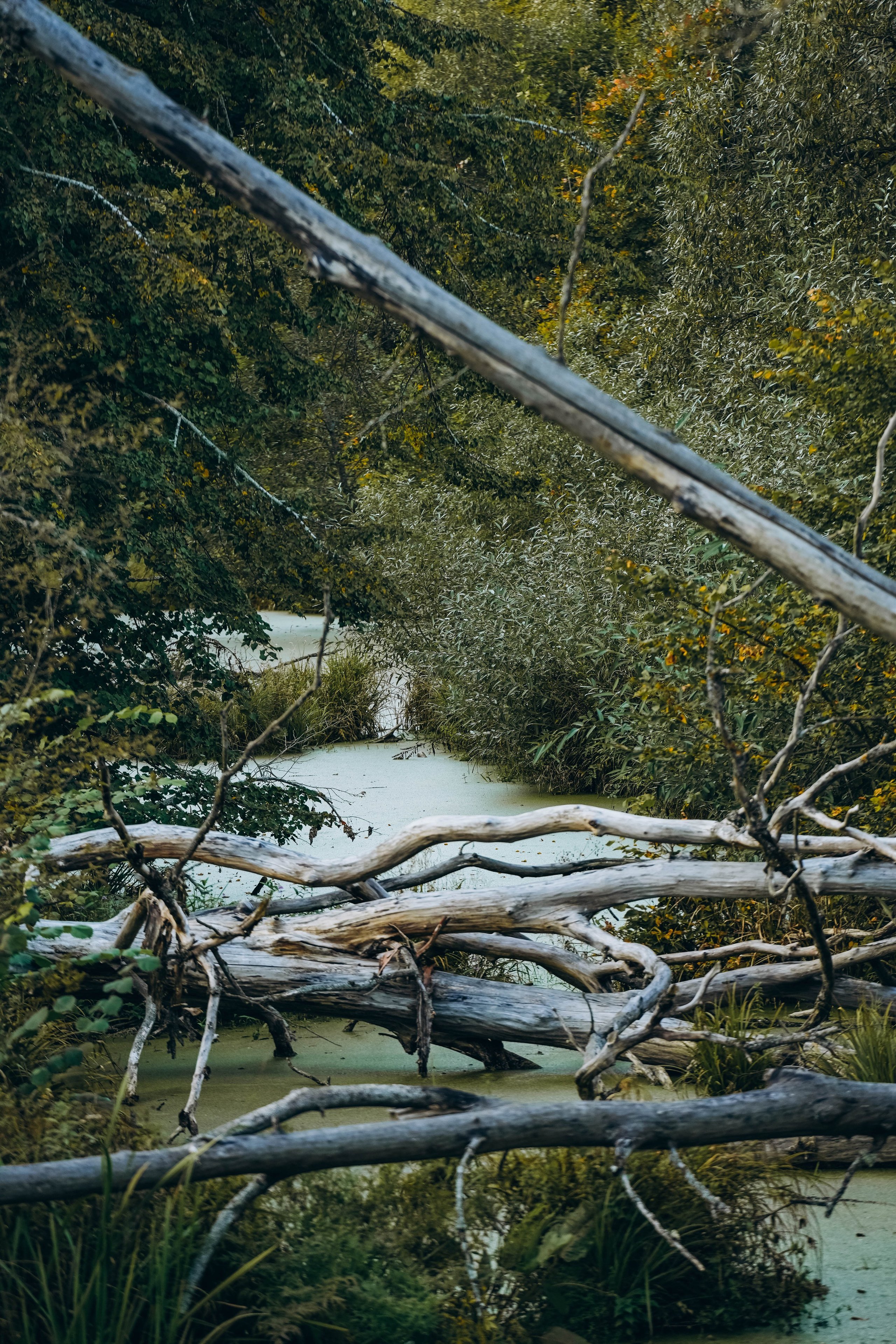 СЕВЕР. Event фотограф Степанова Александра