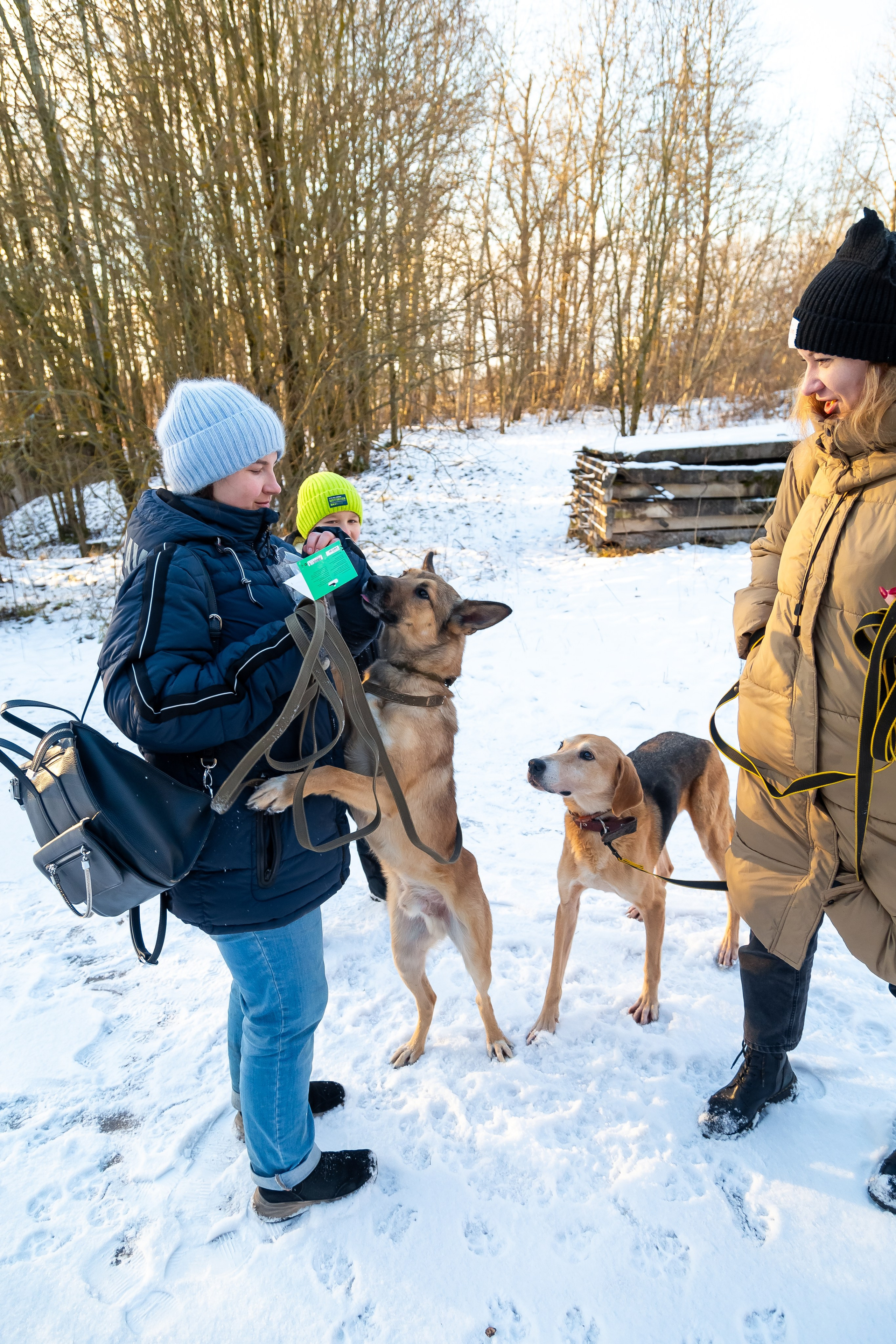 Petshop Забота. Фотограф в Санкт-Петербурге Чумаков Семен