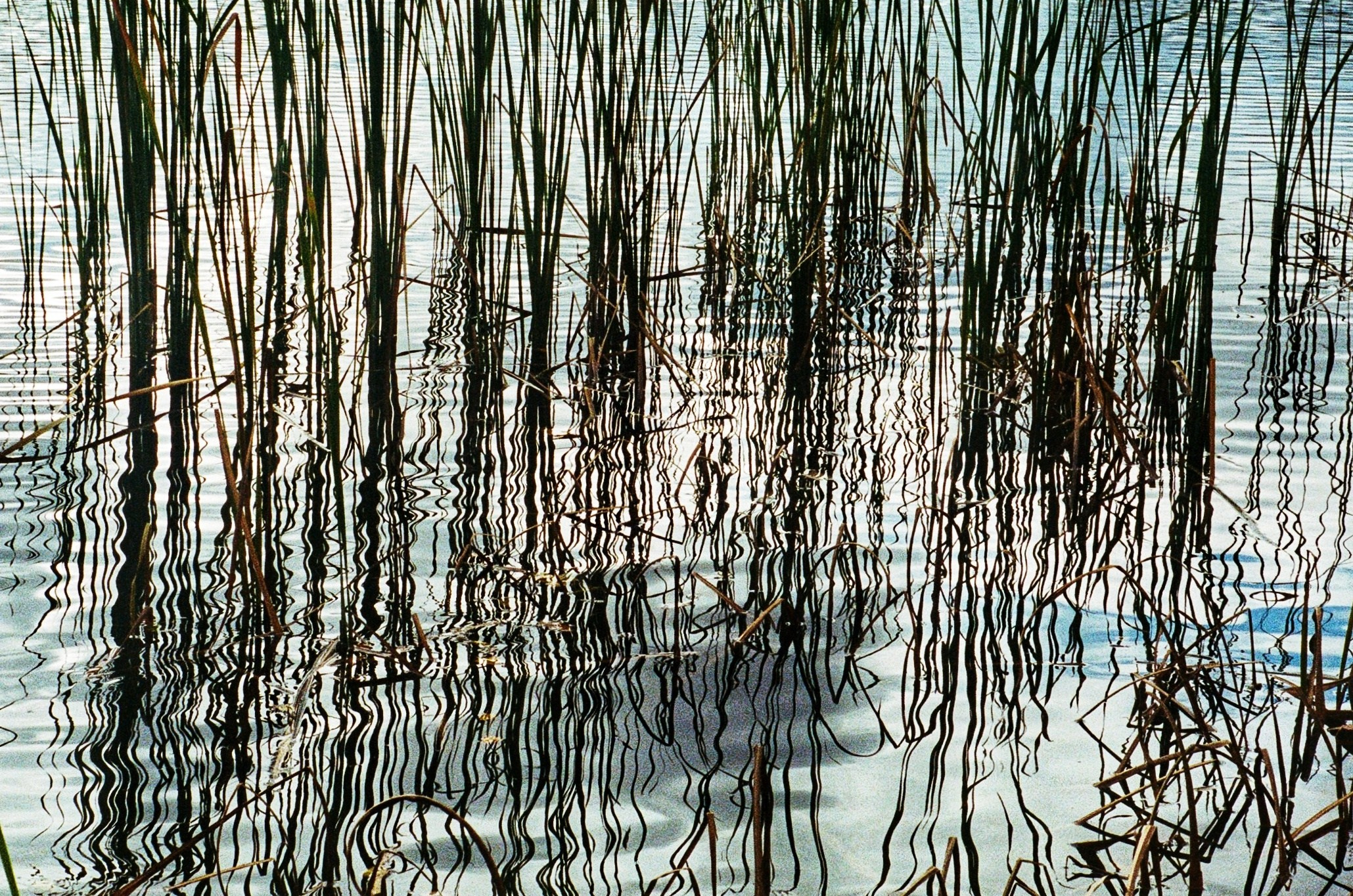 Margarita Rodionova — a contemporary lens-based artist currently working in Cancun, Mexico