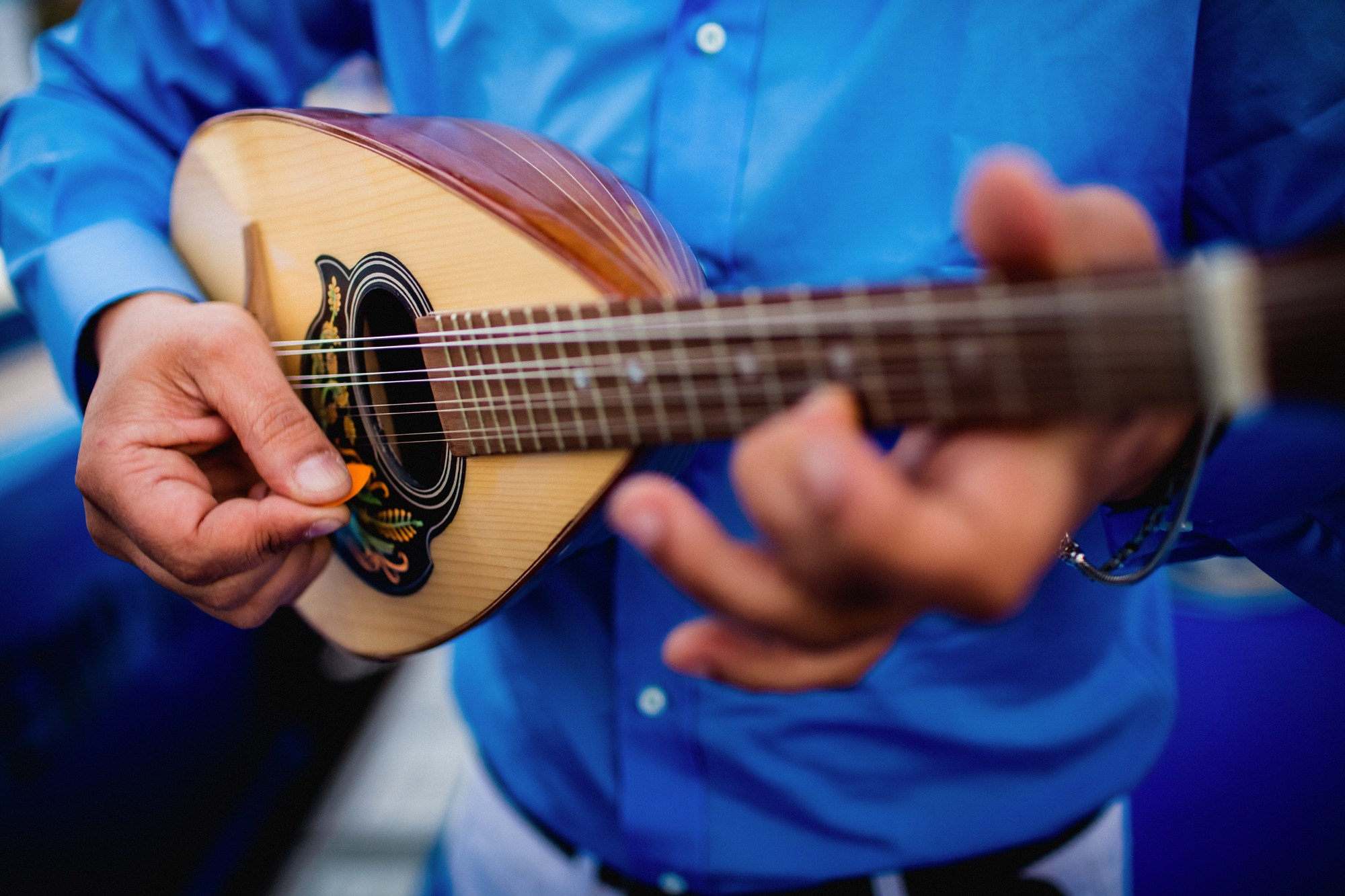 Report VIII. Veedoff