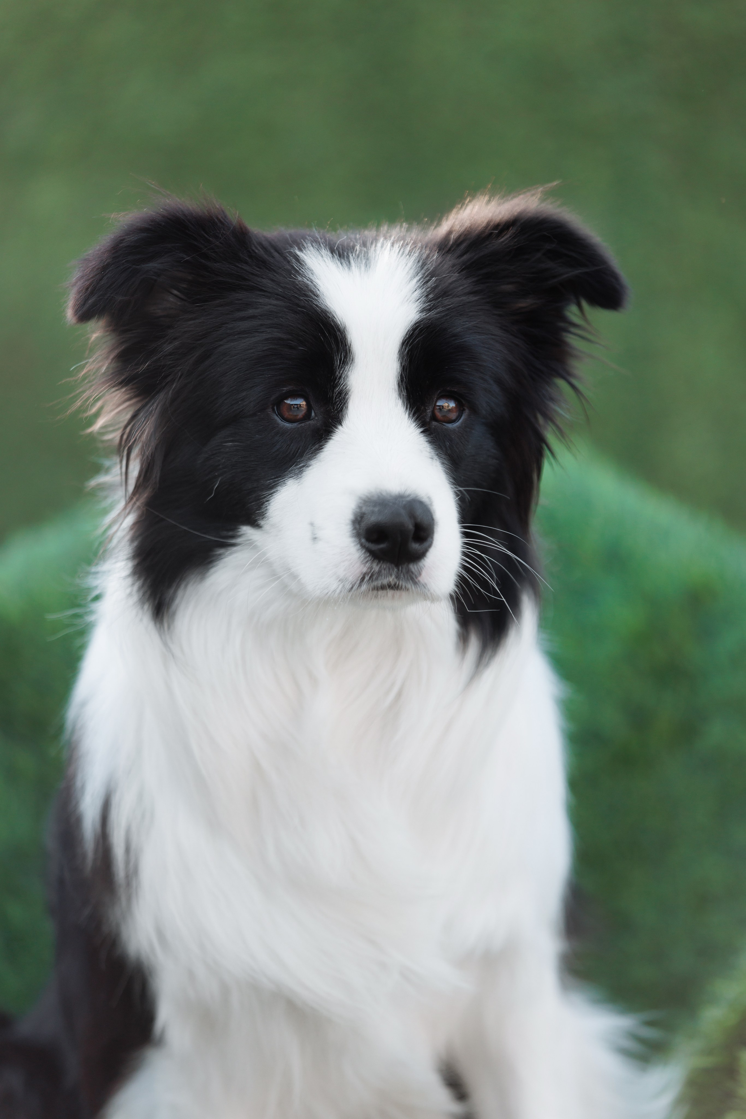 У дома с большой компанией от мала до велика. О нас