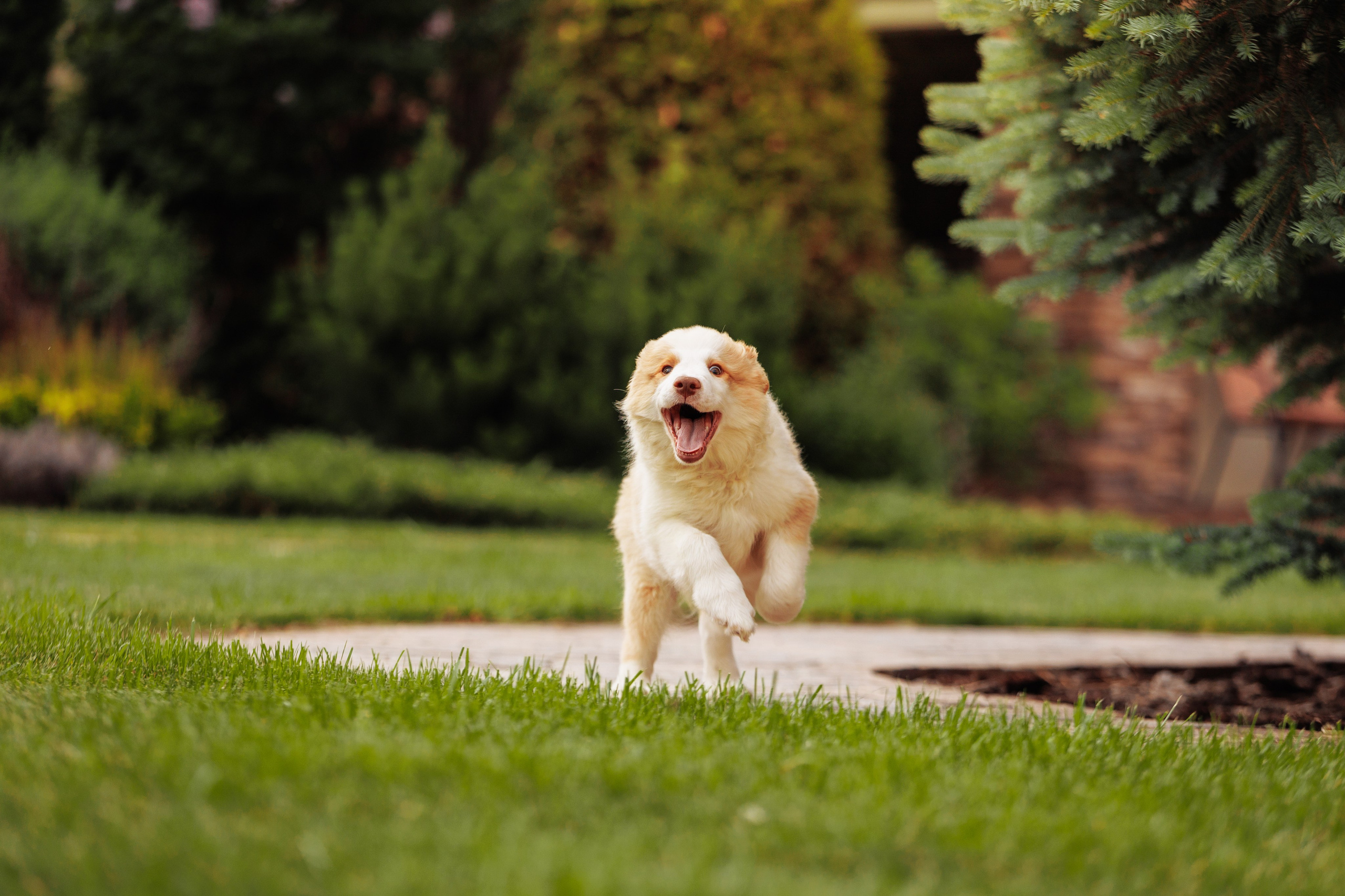 СОлнечные. О нас