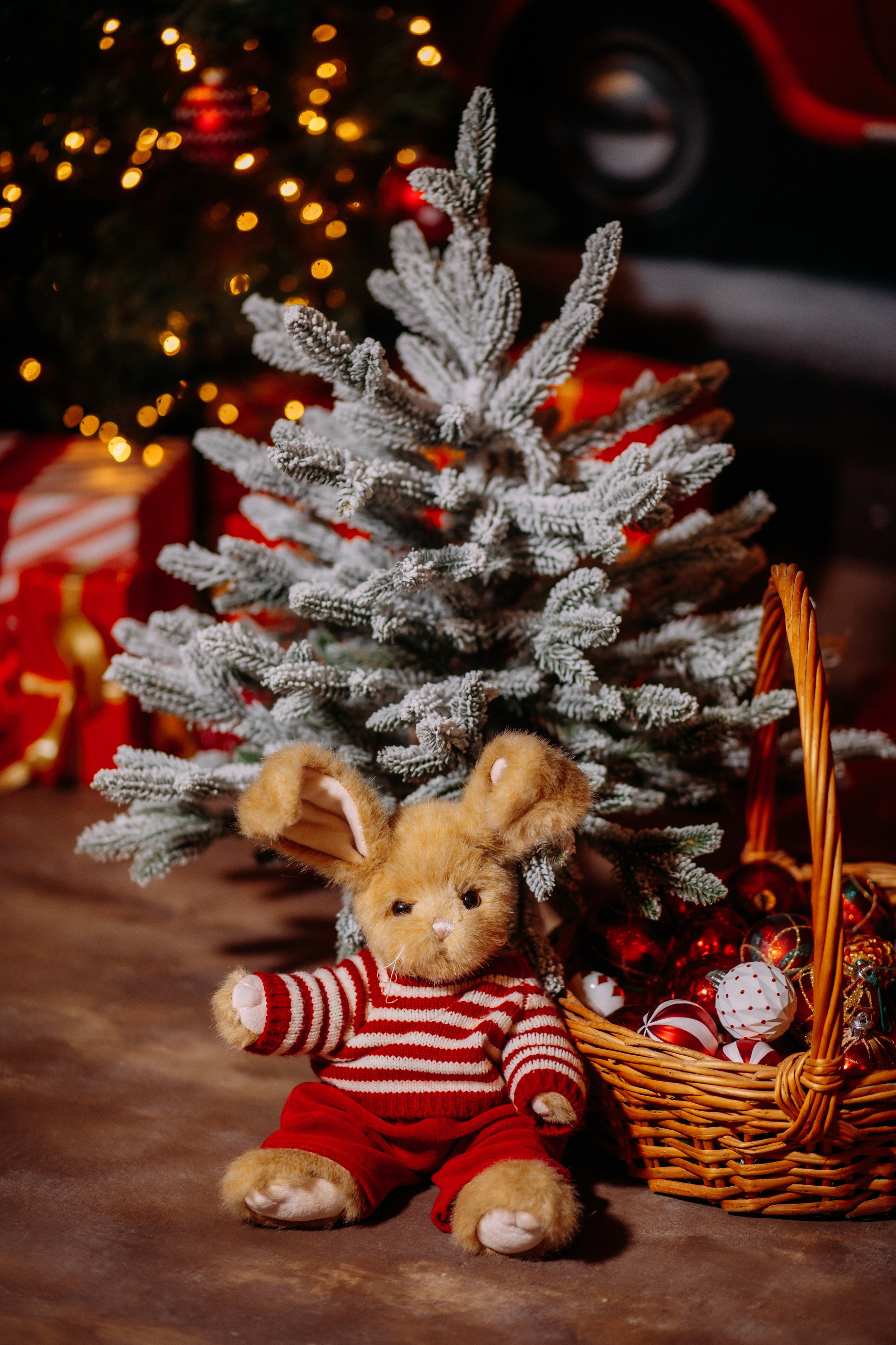 МОЯ НОВОГОДНЯЯ СТУДИЯ. 2018-2025. Женский и семейный фотограф Елена Петрова