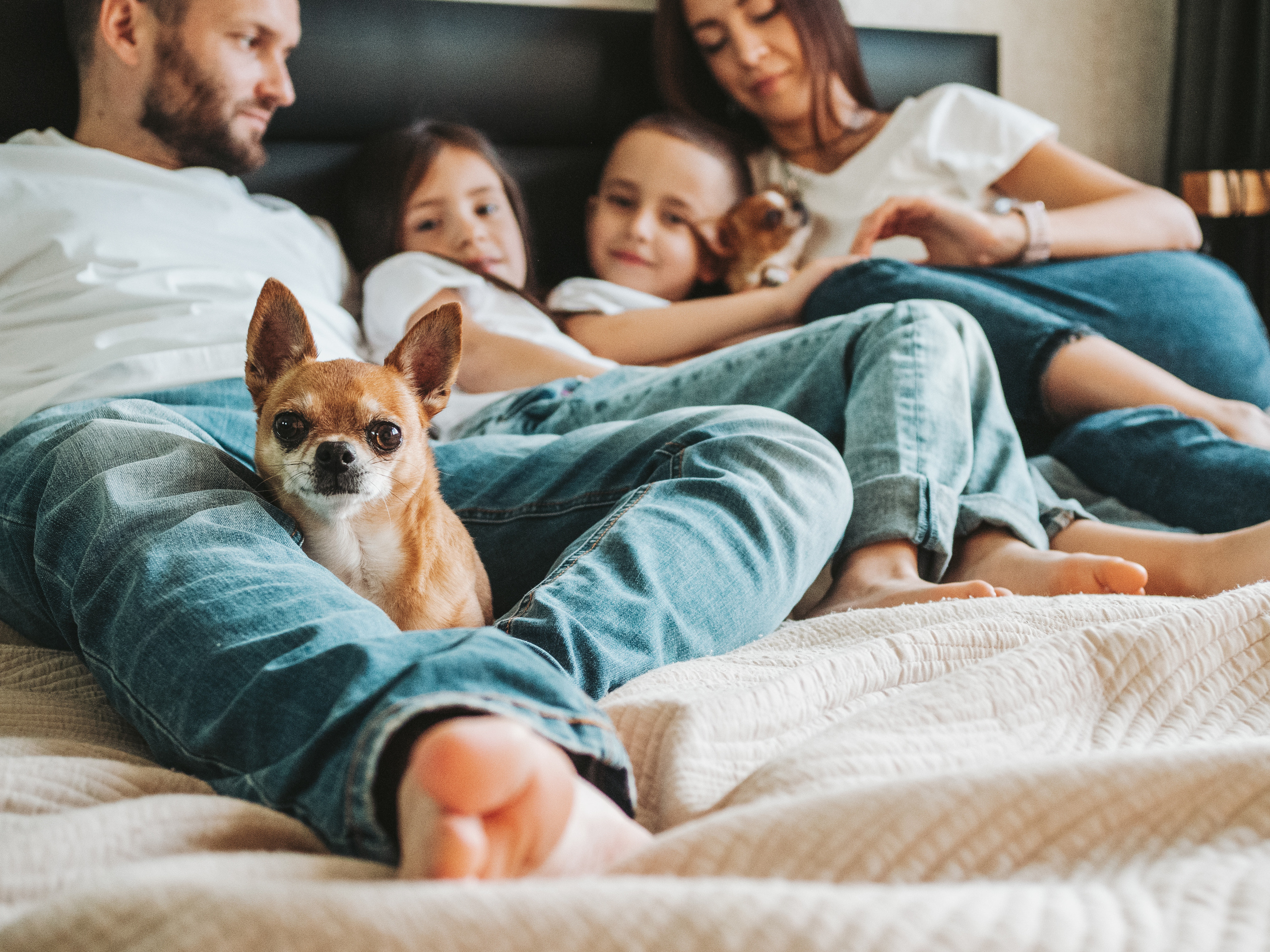 Лучшее место для семейных фотографий — ваш дом!. Кулишова Катерина — твой фотограф