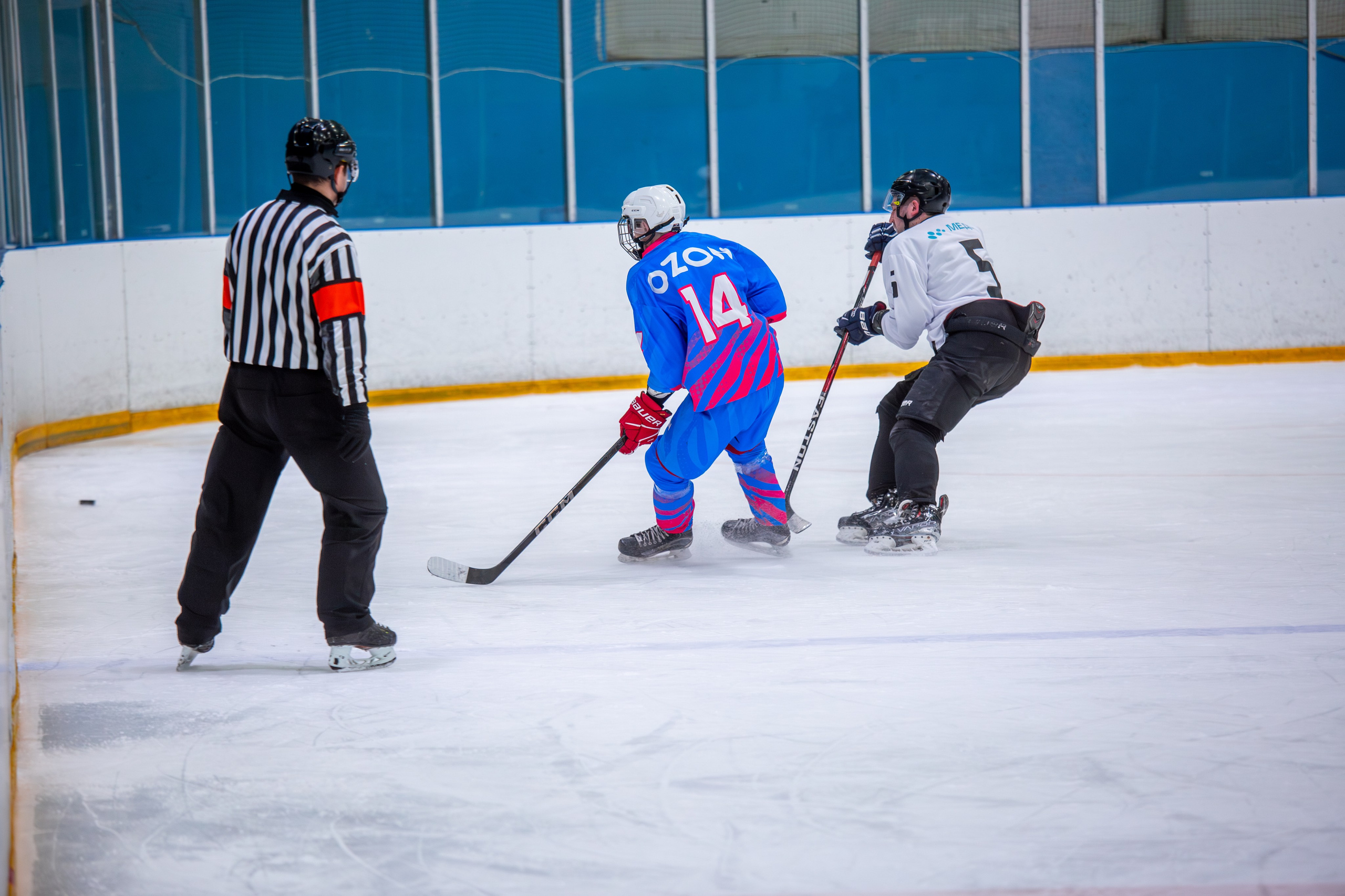 Чемпионат по хоккею. Репортажный, семейный, свадебный, портретный фотограф