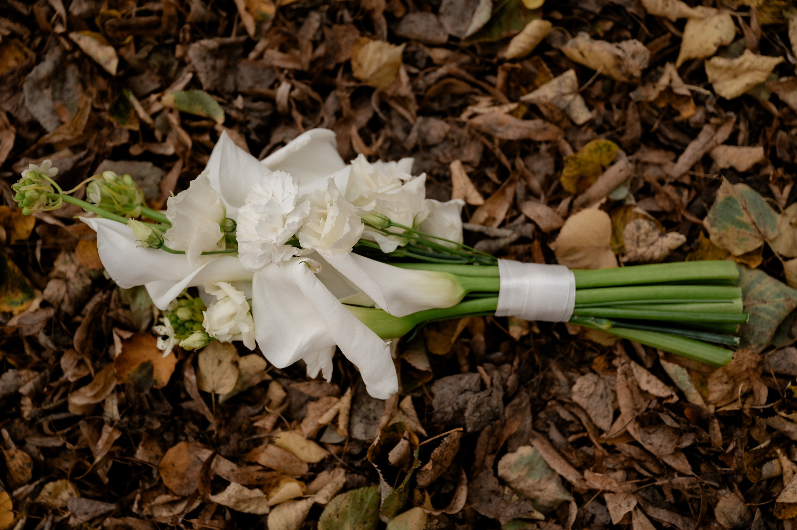 Константин и Анна. Фотограф Анна Пятак