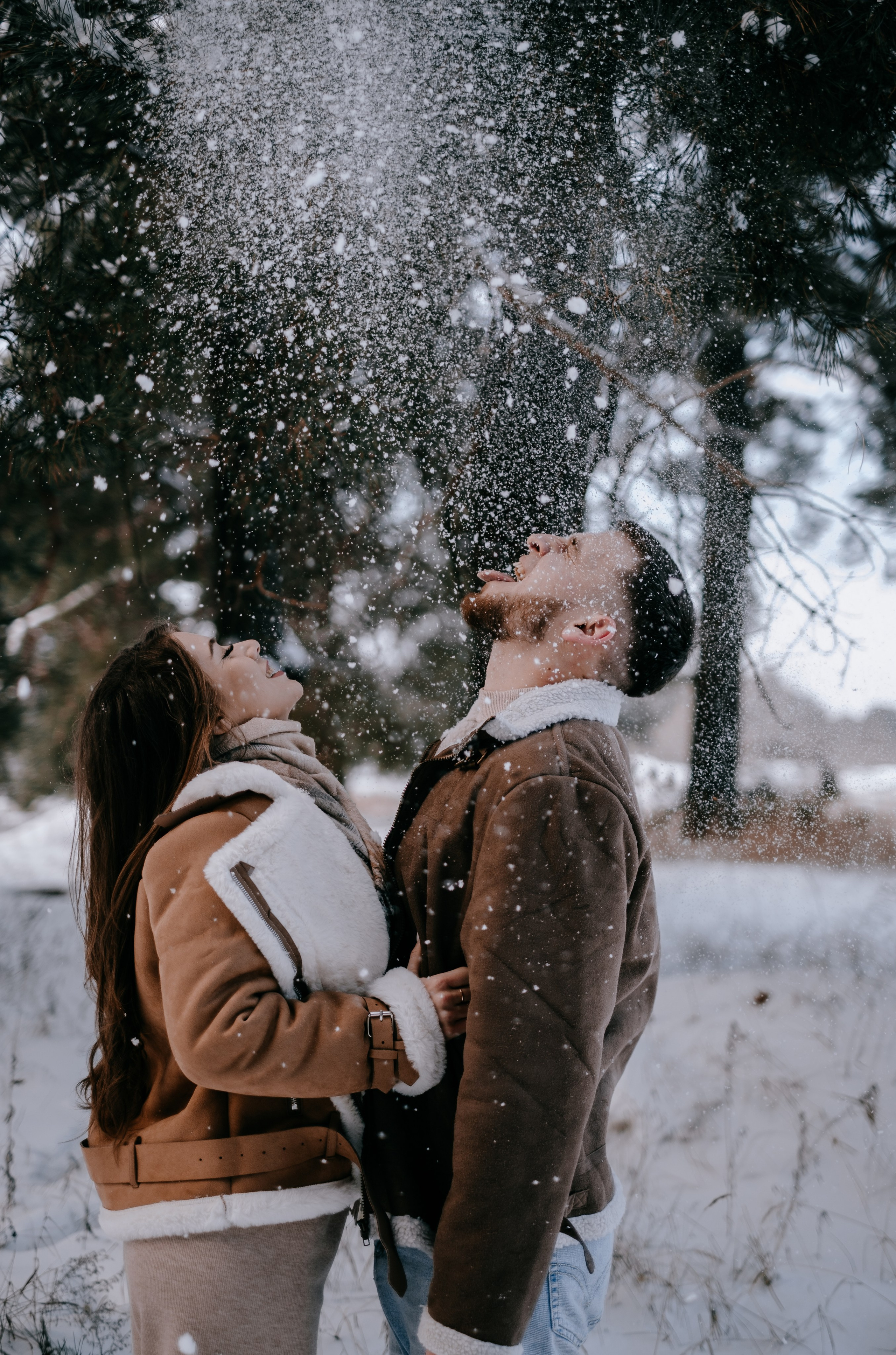 Звенит январская вьюга!. Photographer Victoria Slavnova