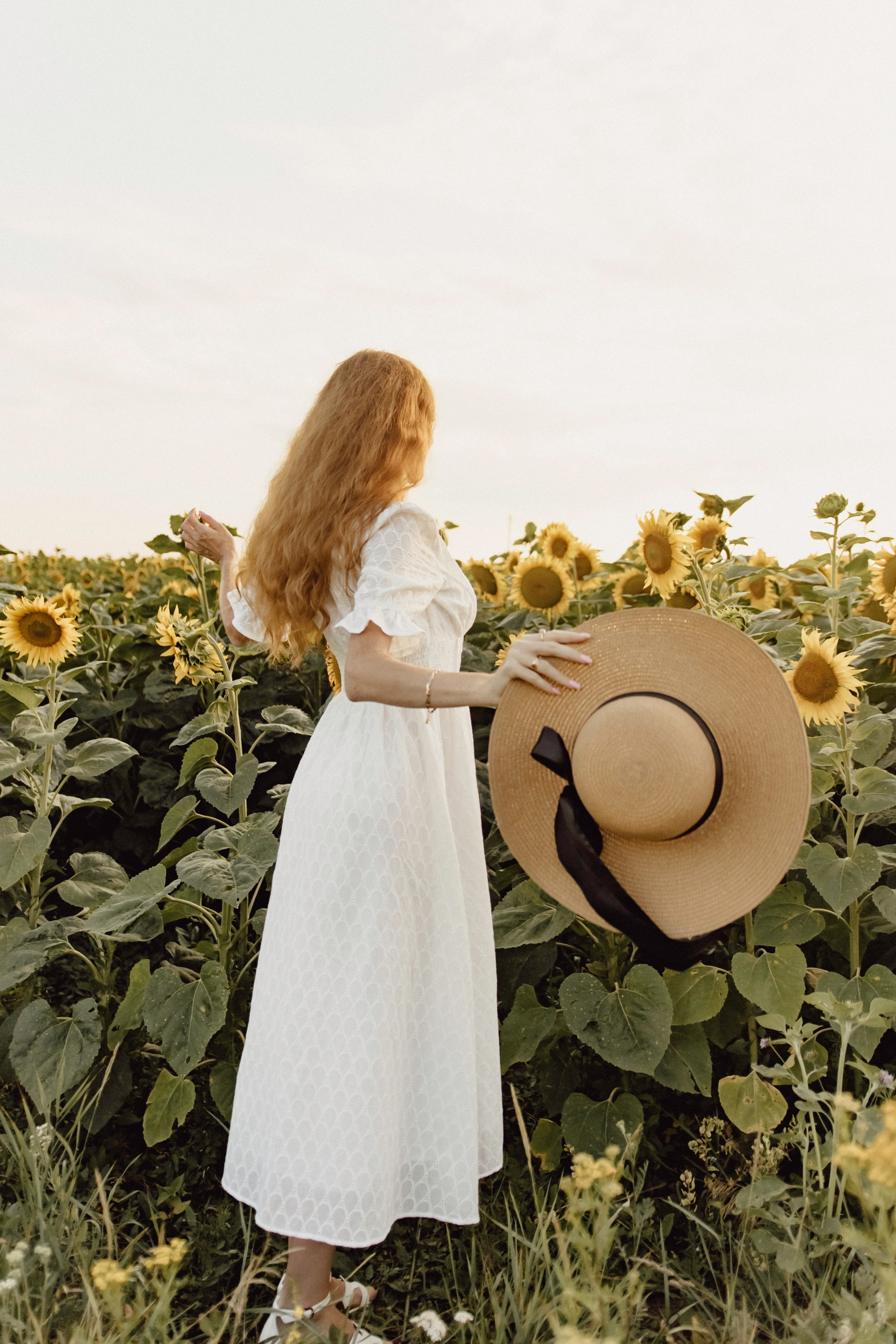 Елена в подсолнухах. Фотограф в Кирове и Кирово-Чепецке Валерия Шиляева