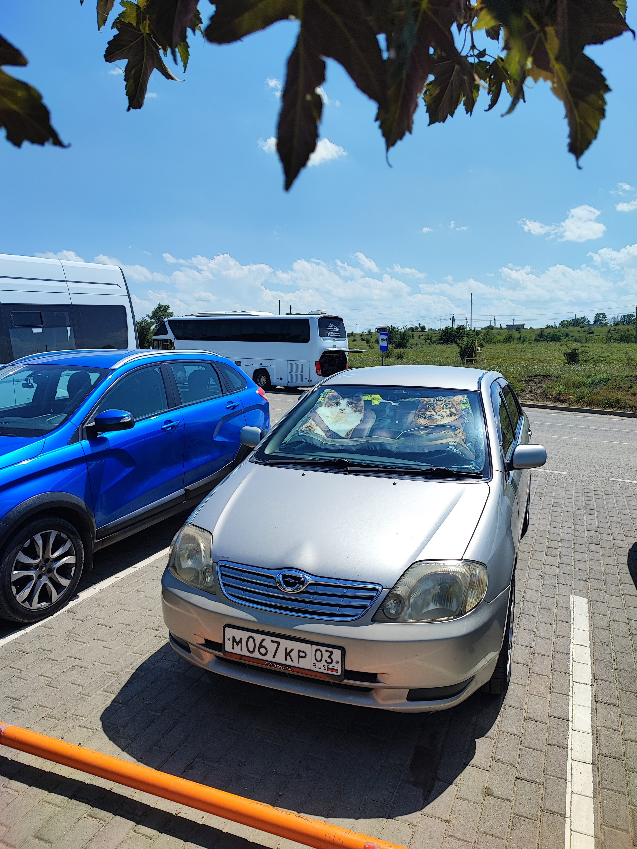 Намобилкус кавказский. Репортажный фотограф Алексей Пирязев