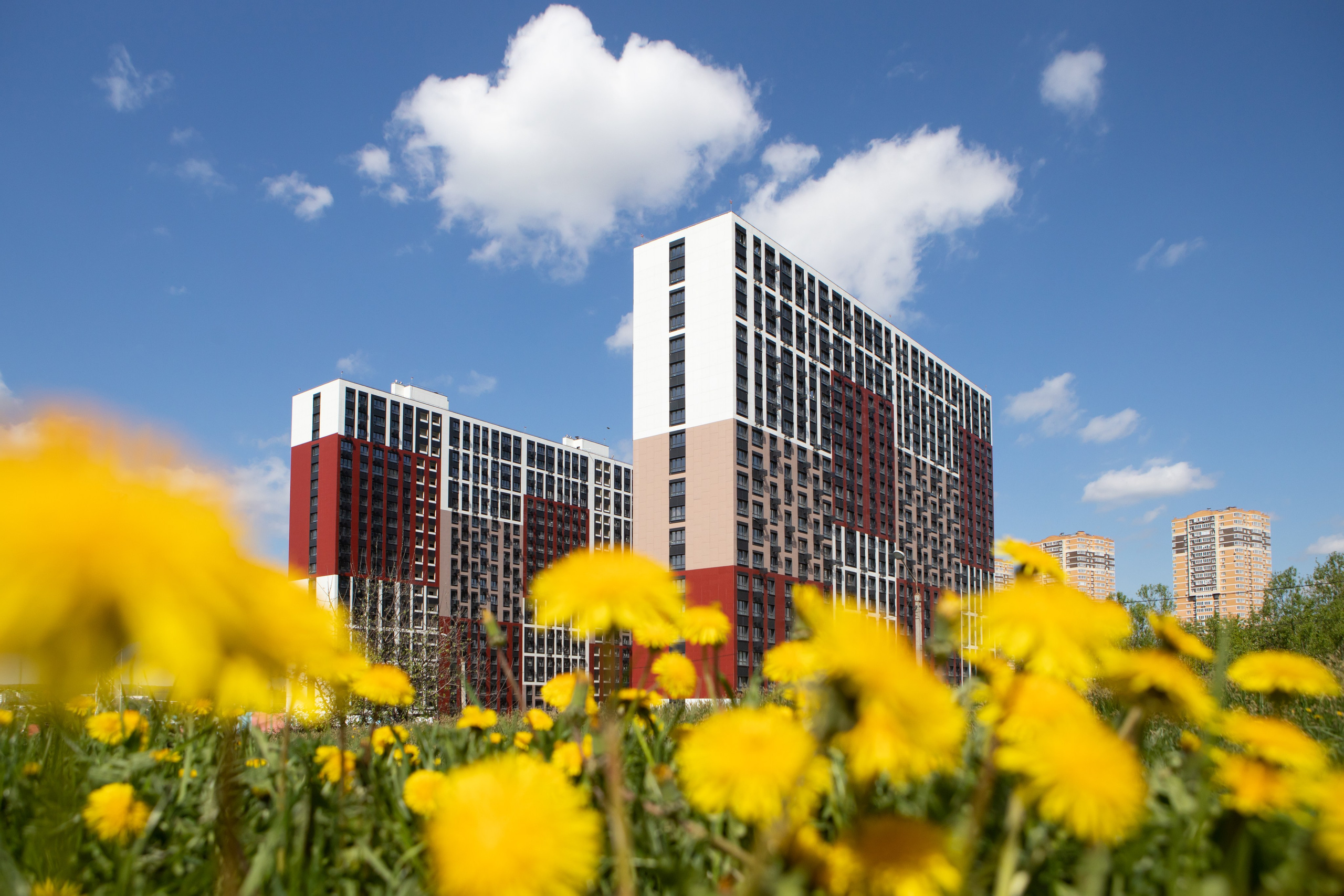 Тула. Репортажный фотограф Алексей Пирязев