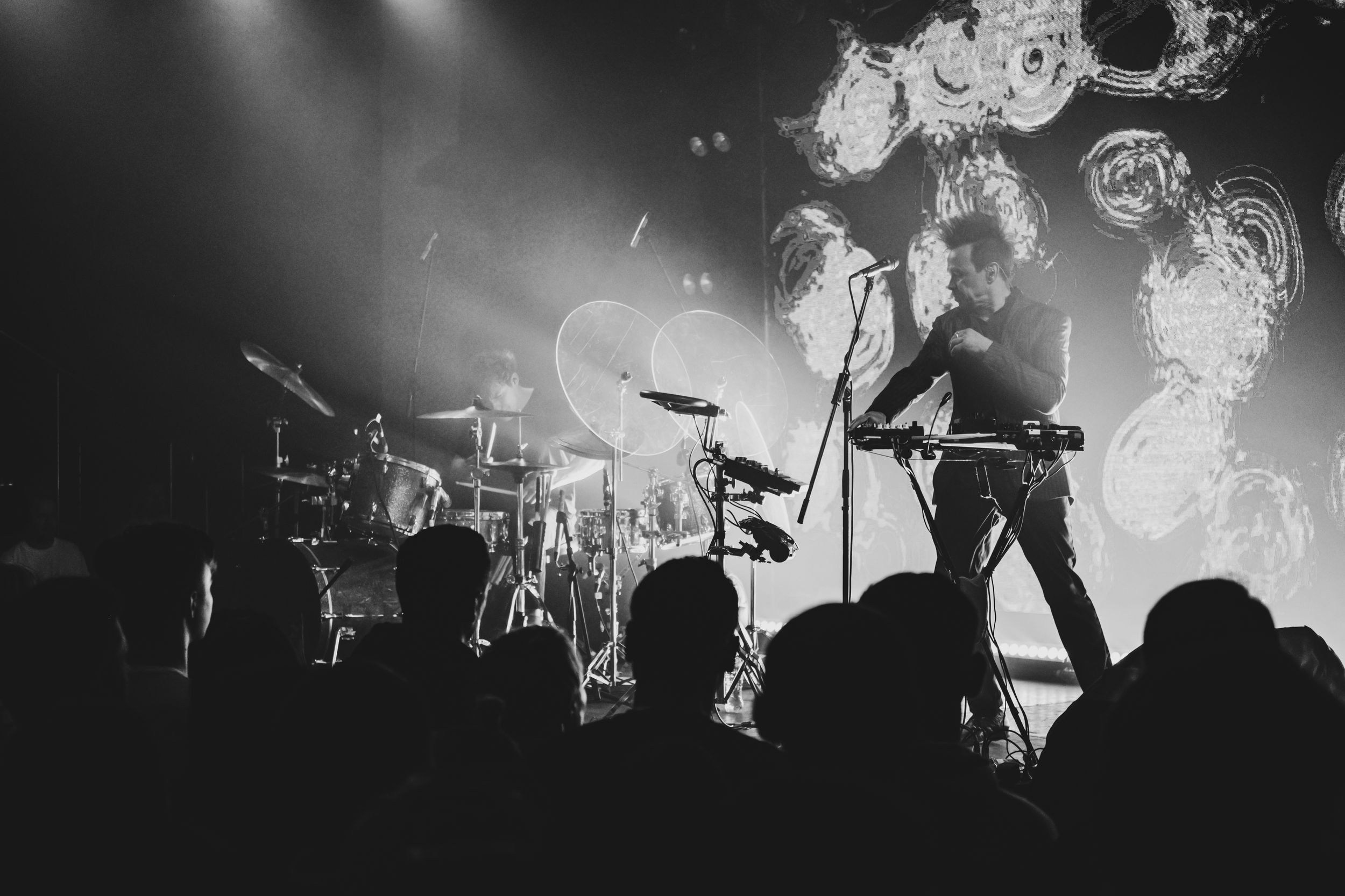 Дельфин. Репортажный фотограф Алексей Пирязев