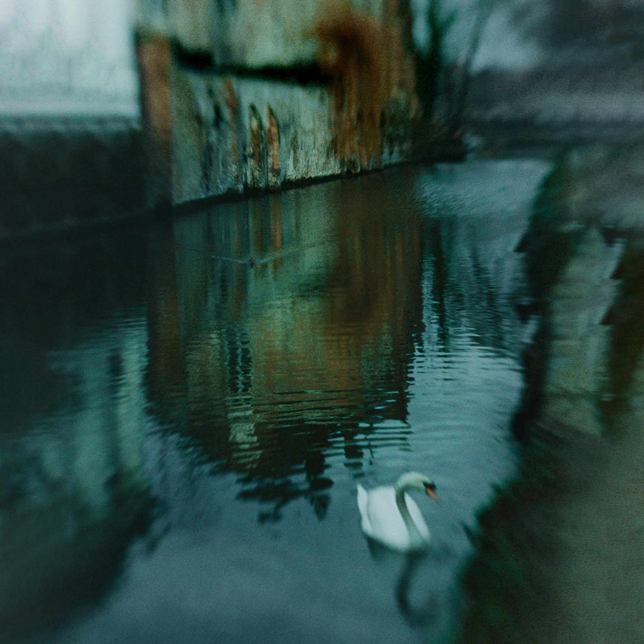 BRUGGE. Eduard Kopysov — International visual artist