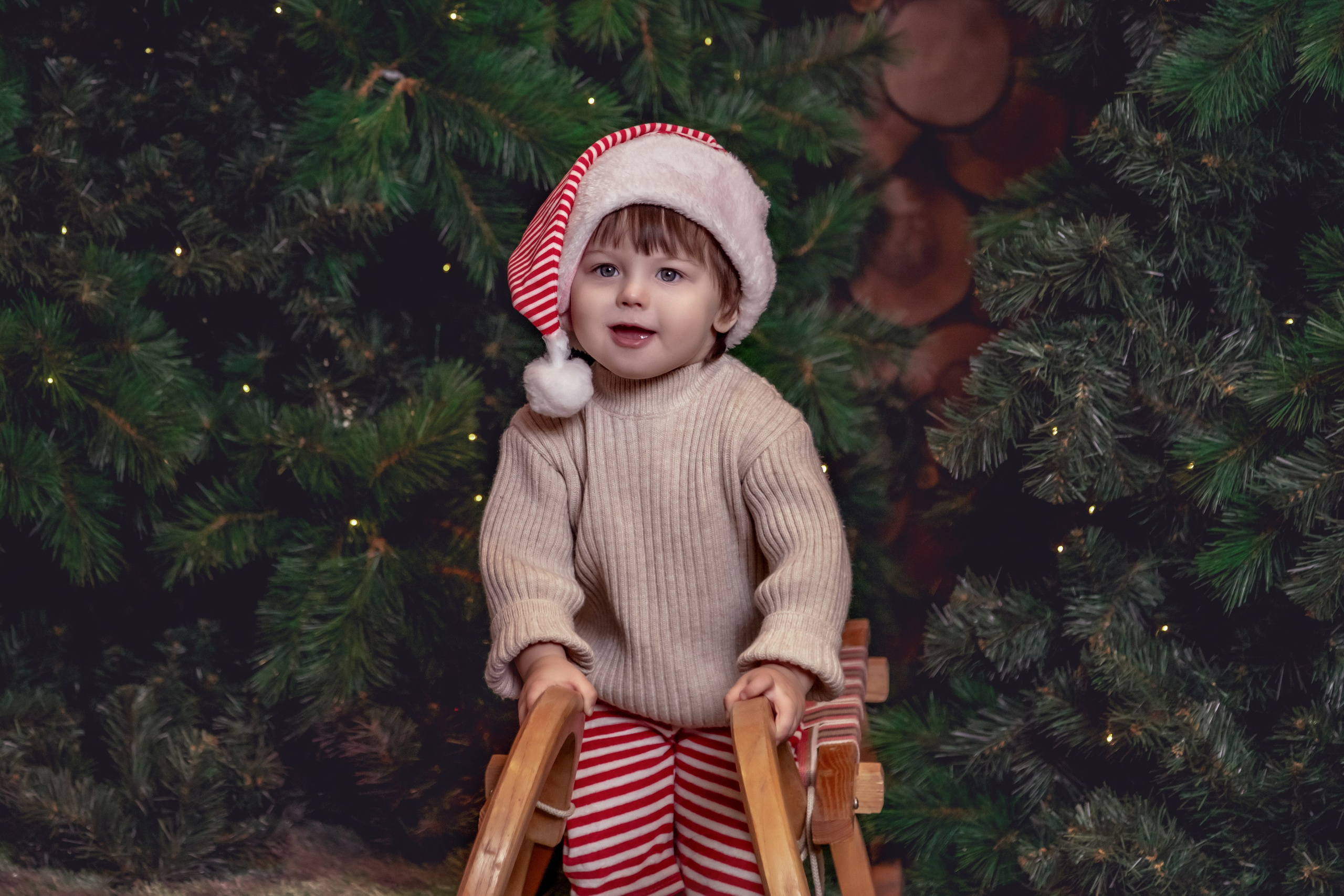 НОВЫЙ ГОД и Рождество в СТУДИЯХ. Фотограф Алина Лебедь