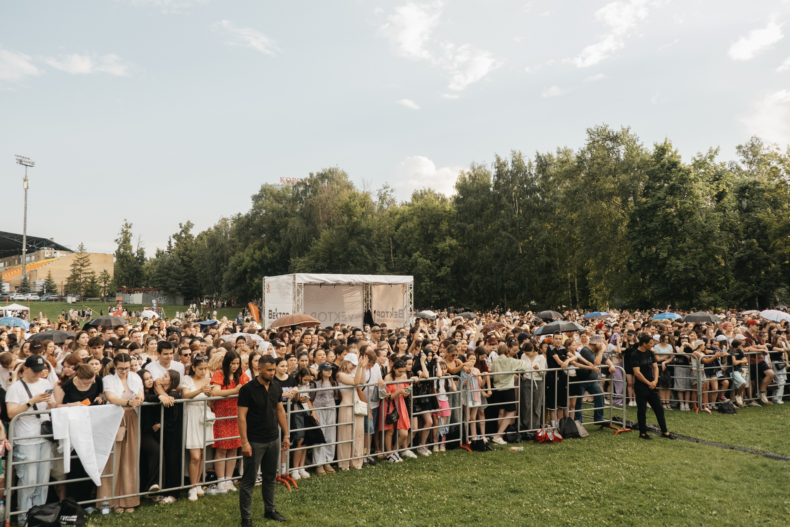 VECTOR FEST. Обо мне