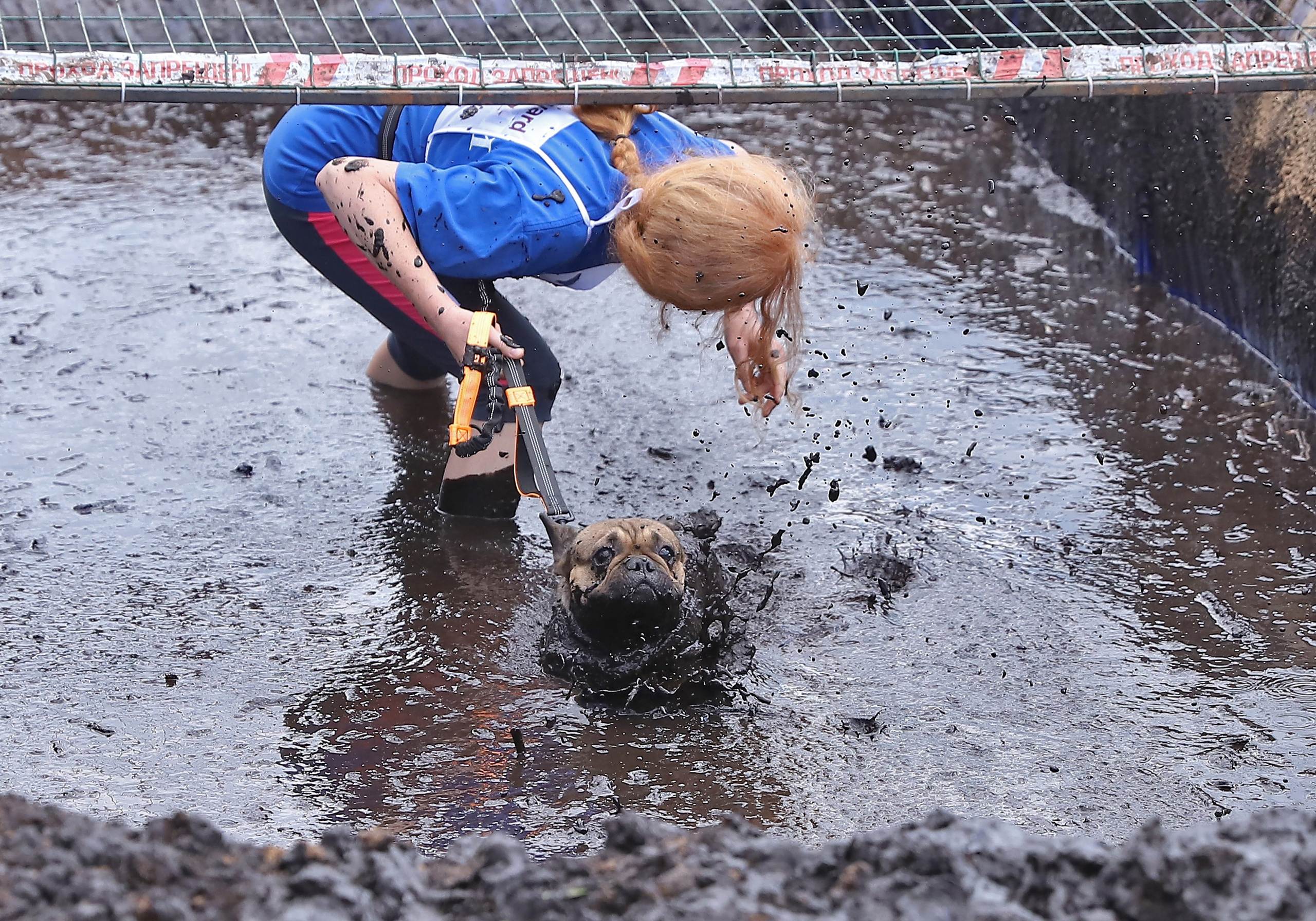 Хвостатый драйв. Семейный и детский фотограф в Москве и МО Елена Москвичева