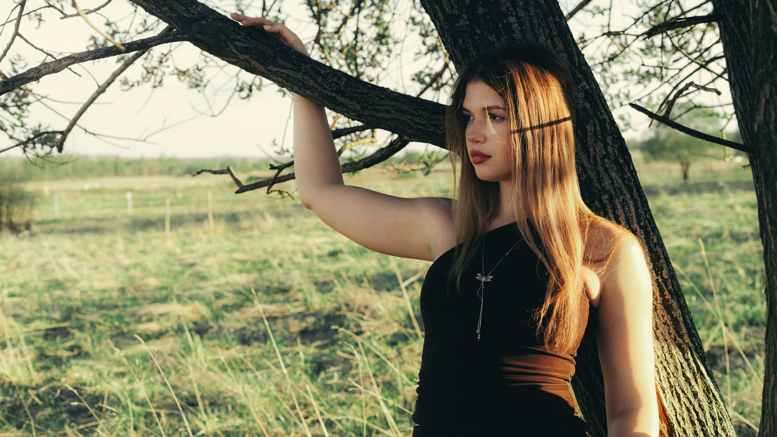 Garden. Sun Betty — кинофотограф Элизабет