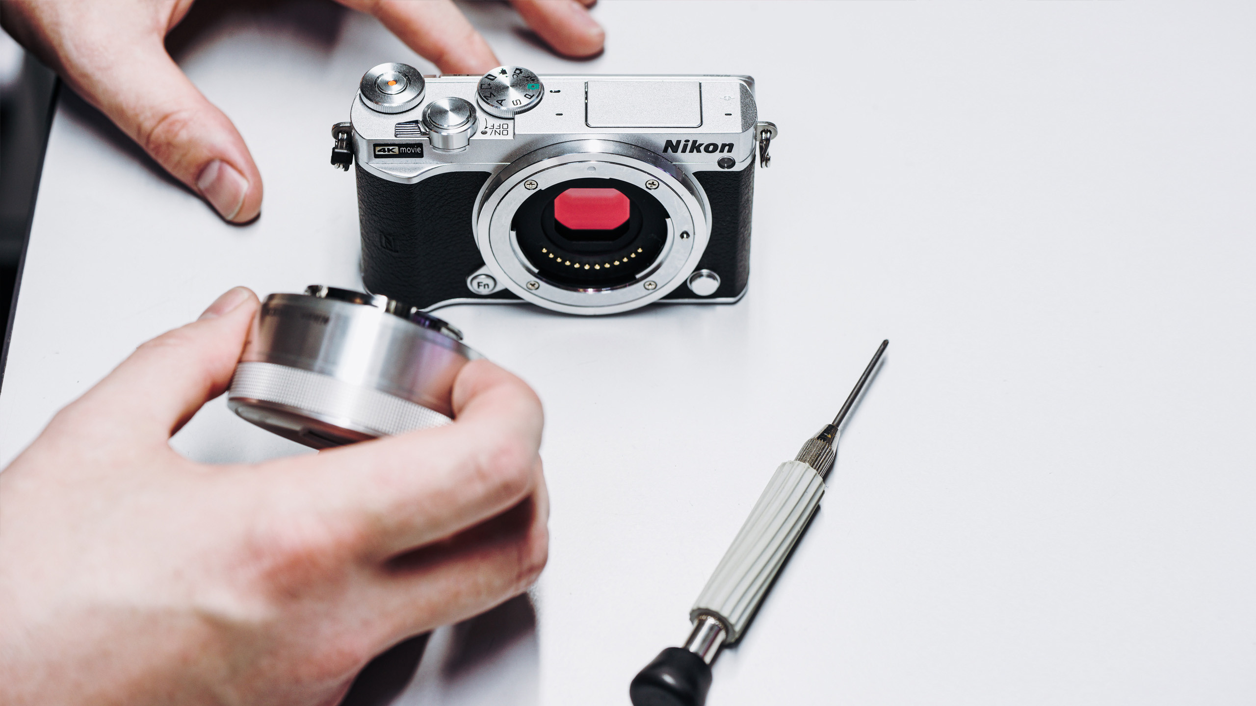 Антон Роук—фотография для бизнеса