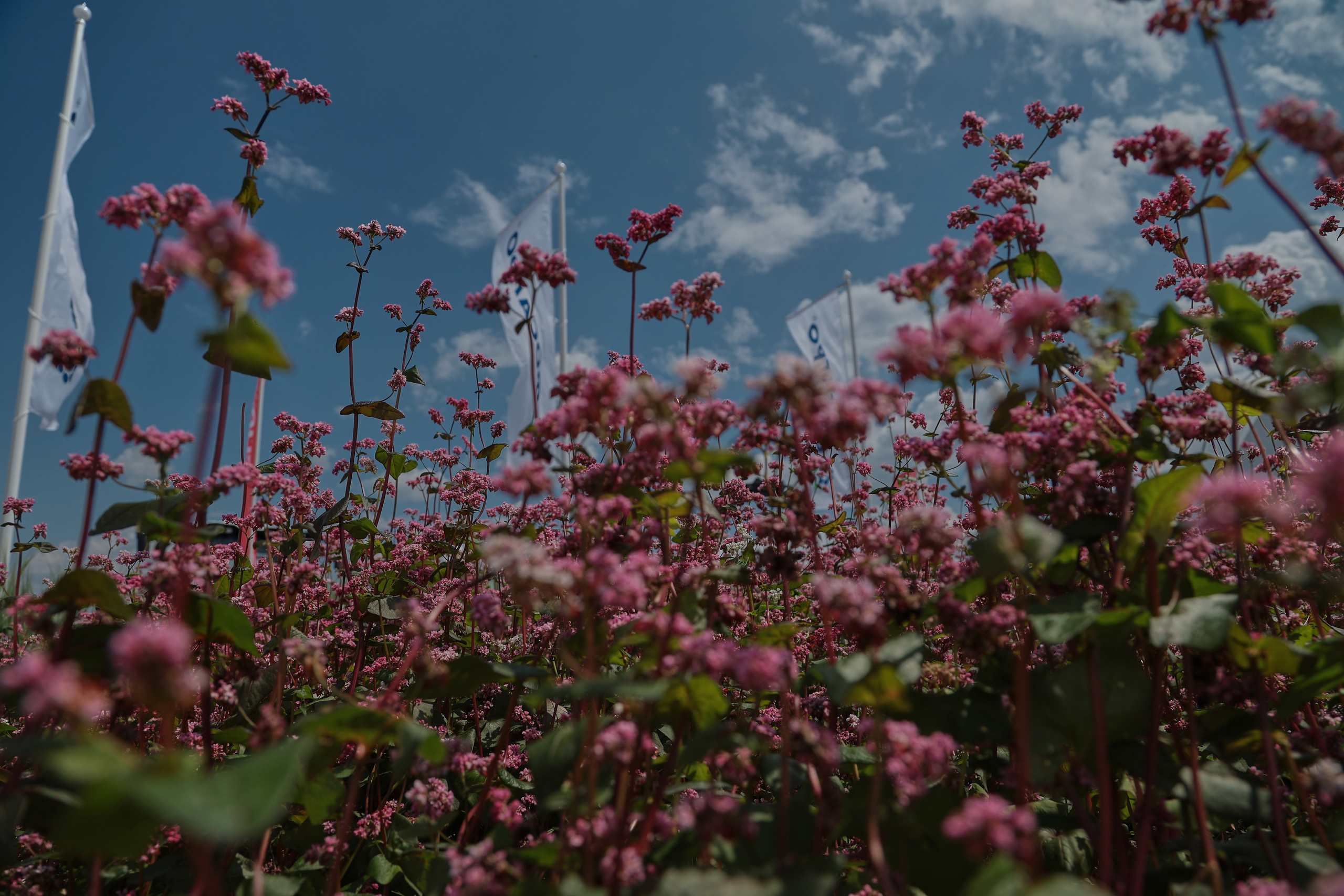 Репортажная съемка. Женский и контент фотограф Данилина Ирина в Москве