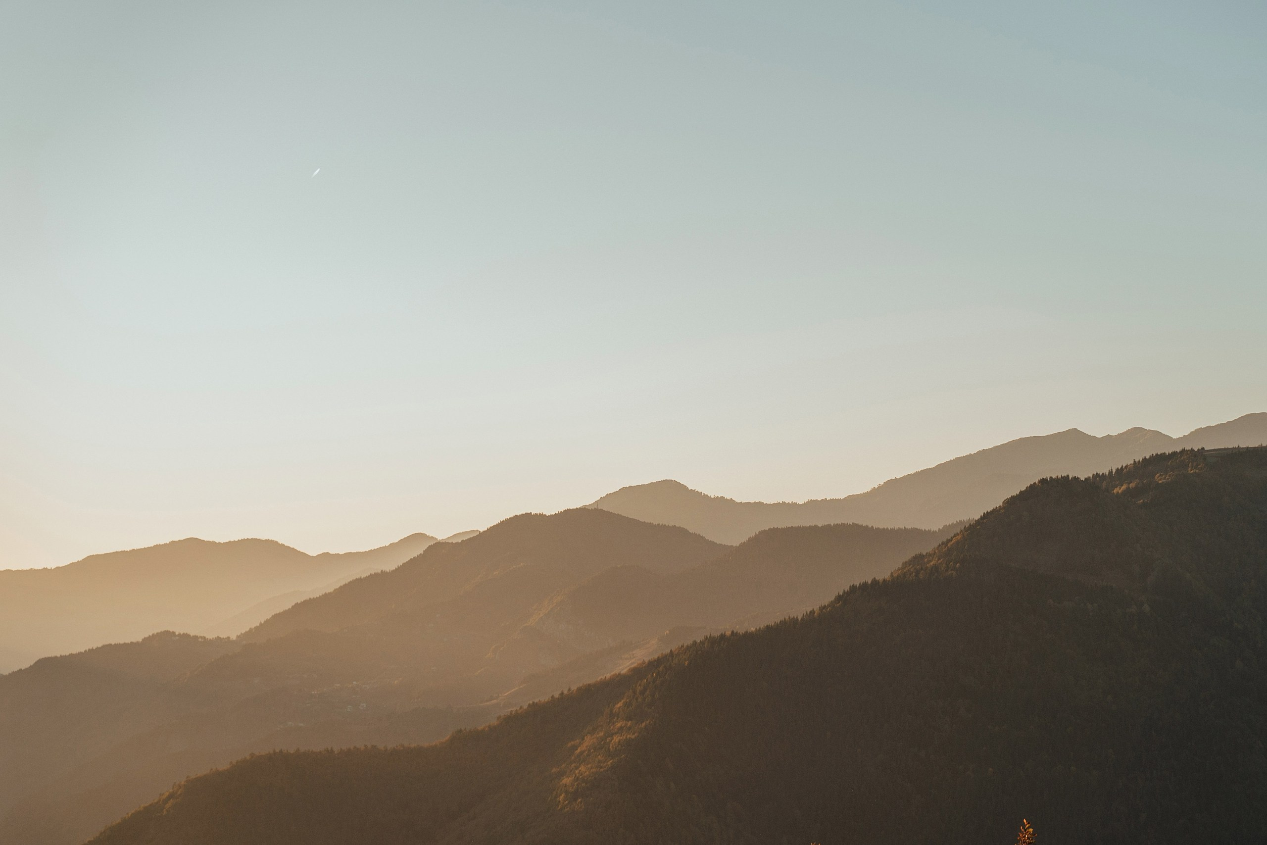 Misha & Lisa 🤍 wedding photo shoot in Tago. Photographer Sergey Otkrytyi in Batumi & Tbilisi