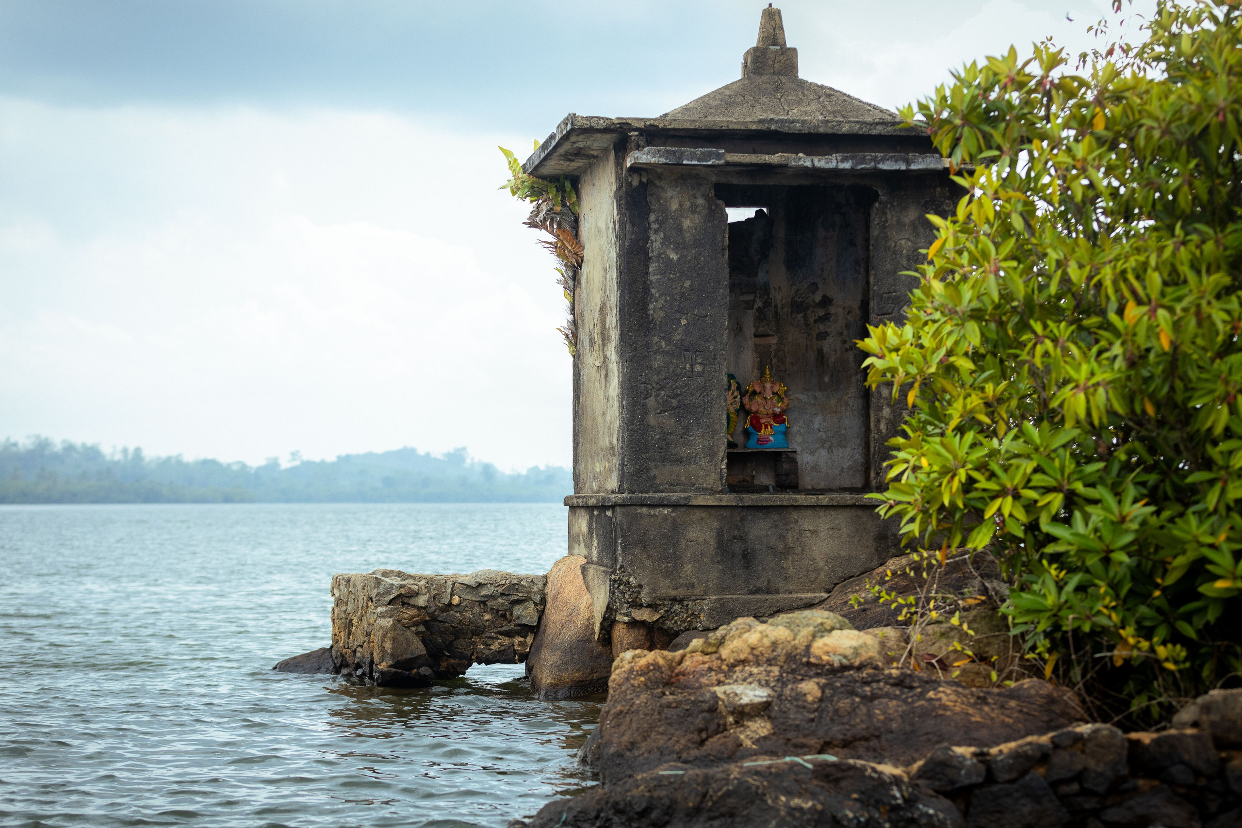 Шри-Ланка (весна 2024). Фотограф Виноградов Константин