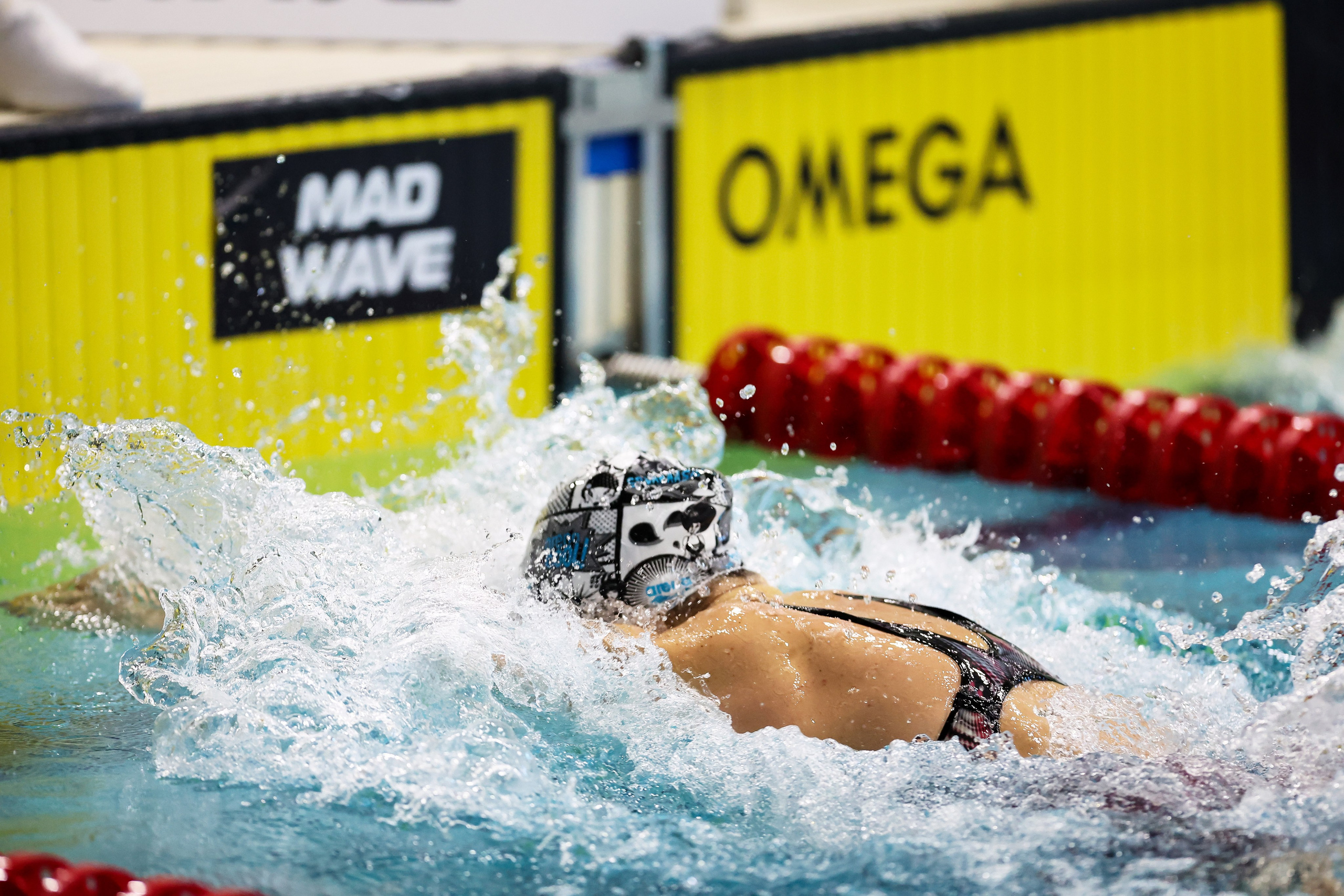 Чемпионат России по плаванию 25 м 20-25.11.2023. Спортивный и репортажный фотограф Антон Тереханов