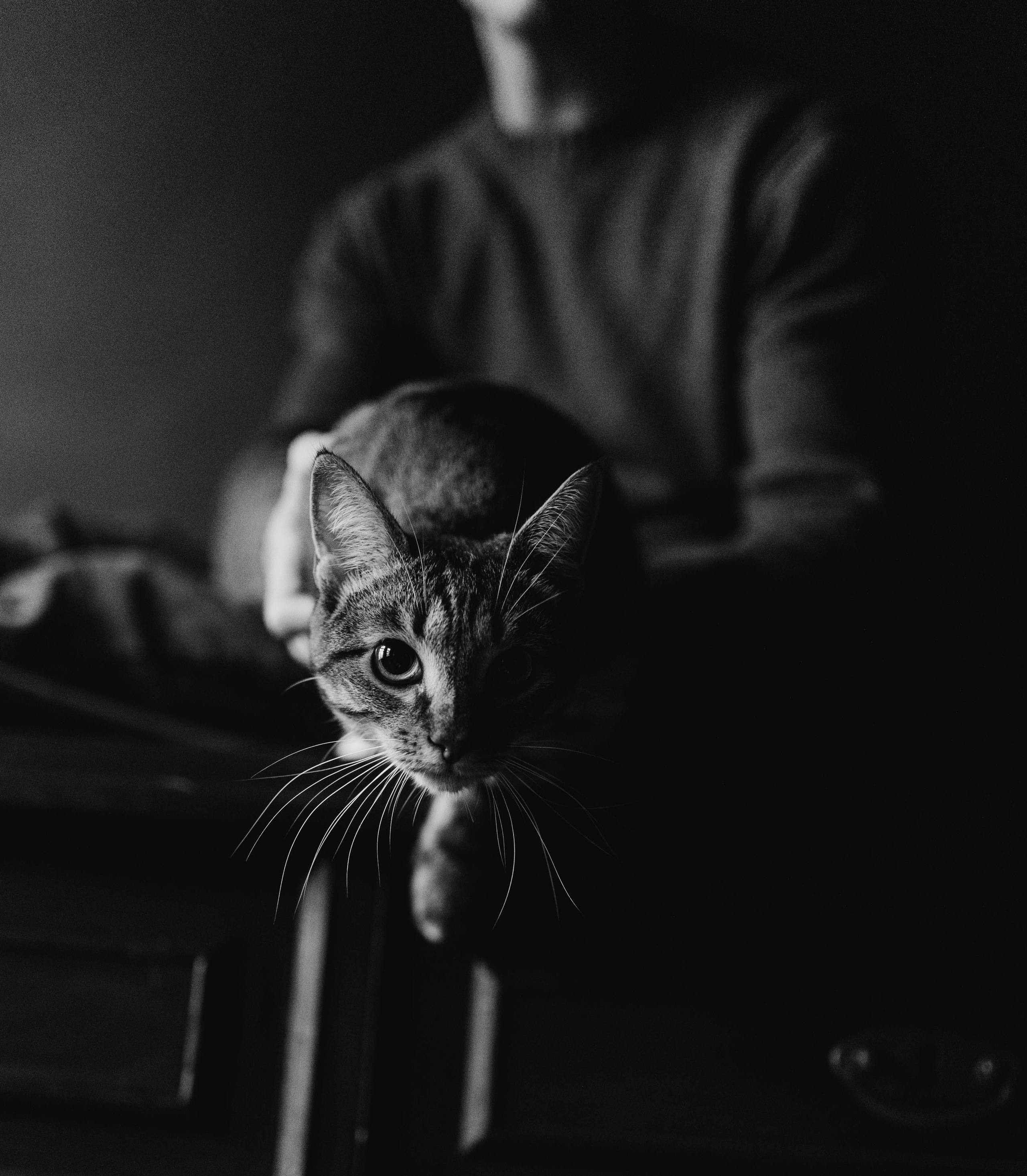 Павел и Настя. Татьяна Афонина | Фотограф