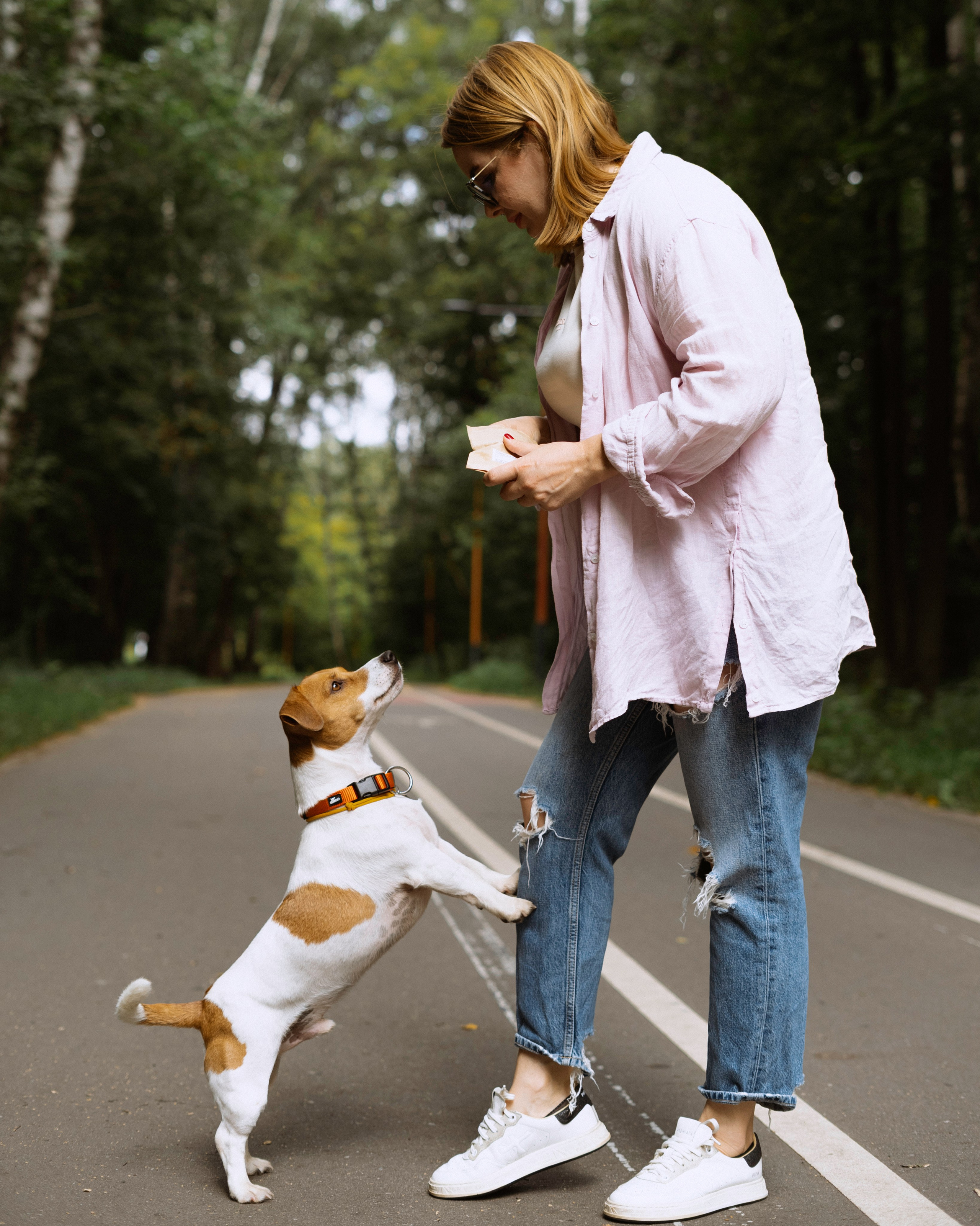 Катерина и Бруки. Фотограф в Москве Шалышко Ангелина