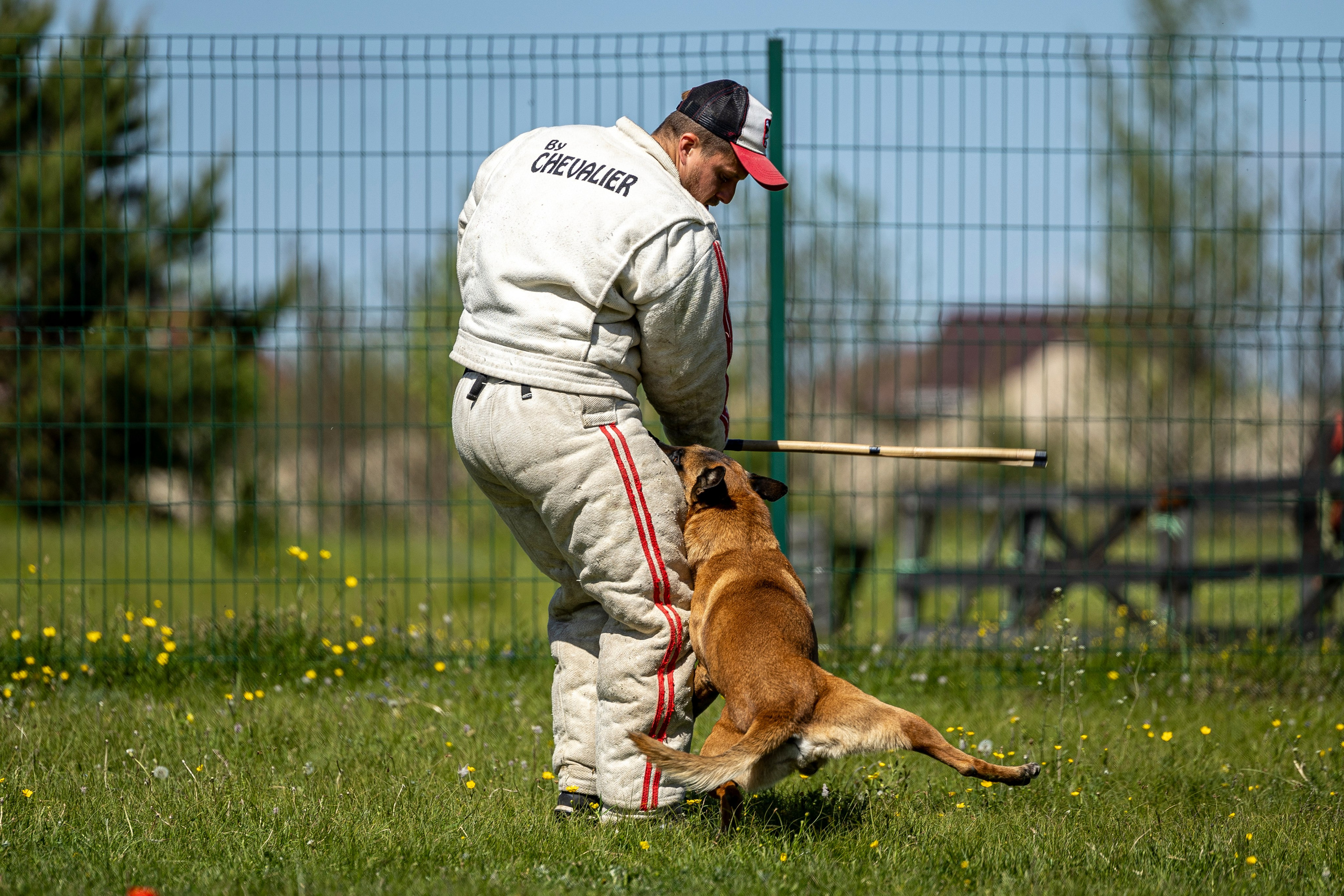 Испытания по мондьорингу в Нижнем Новгороде. Фотограф-анималист Анна Маринич