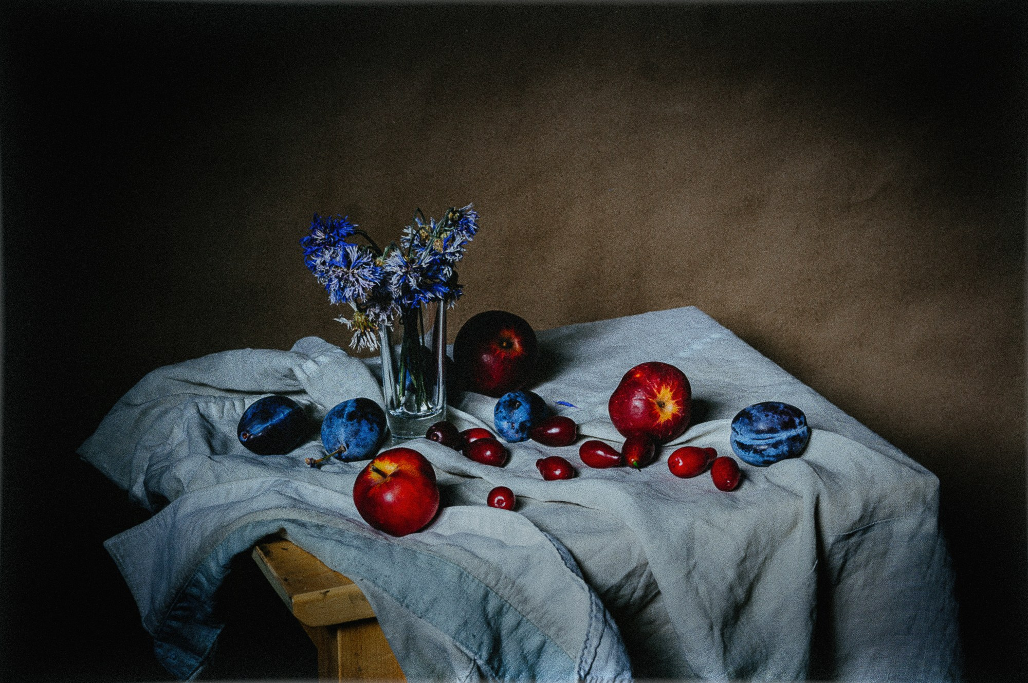 Натюрморт. RawCat. Портретная фотография Екатеринбург