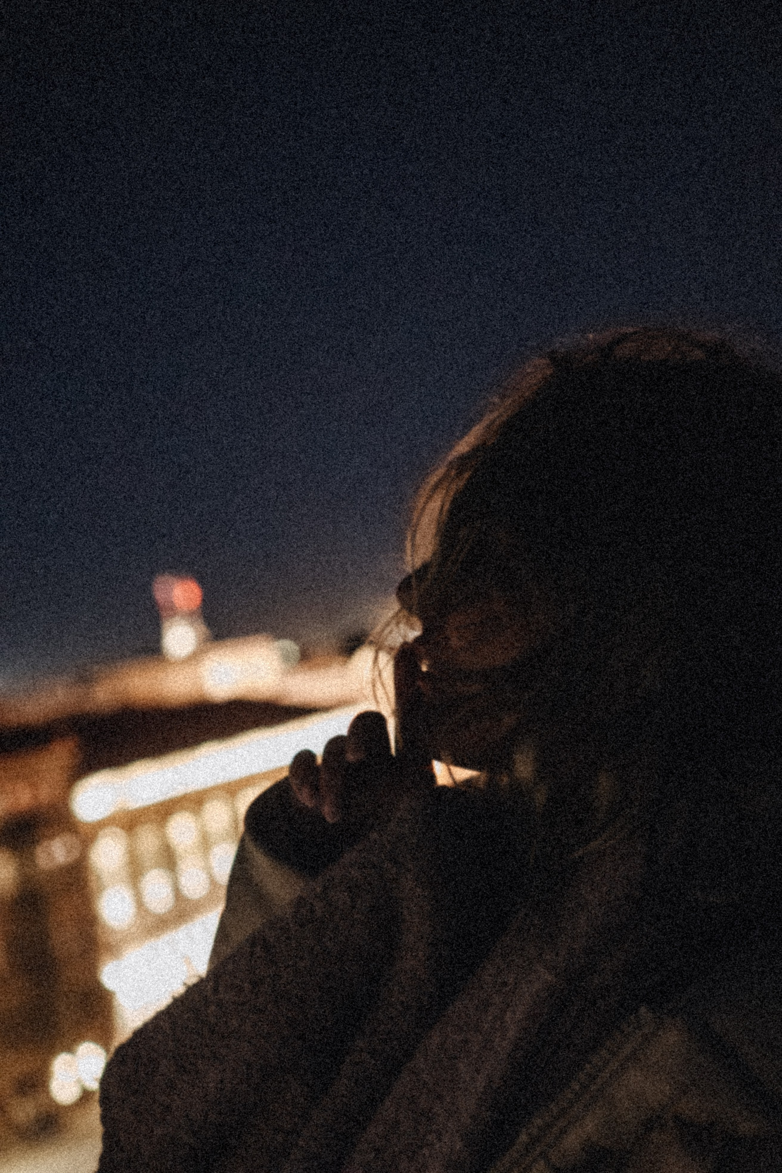 Крыши Питера. Профессиональный фотограф, Санкт-Петербург — Виктория Богомолова