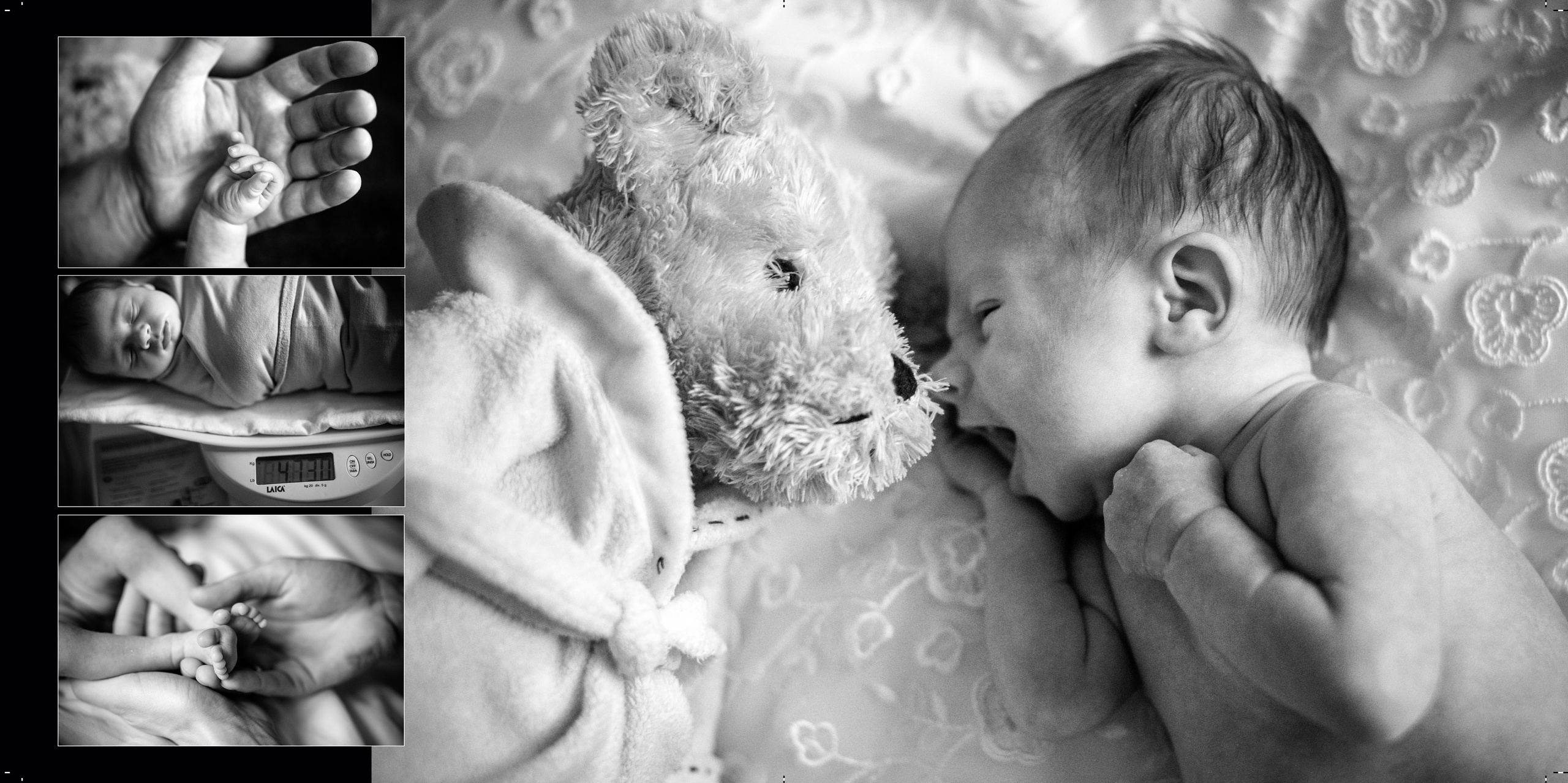 Портфолио. Фотограф Олеся Лоза. Истории ваших эмоций