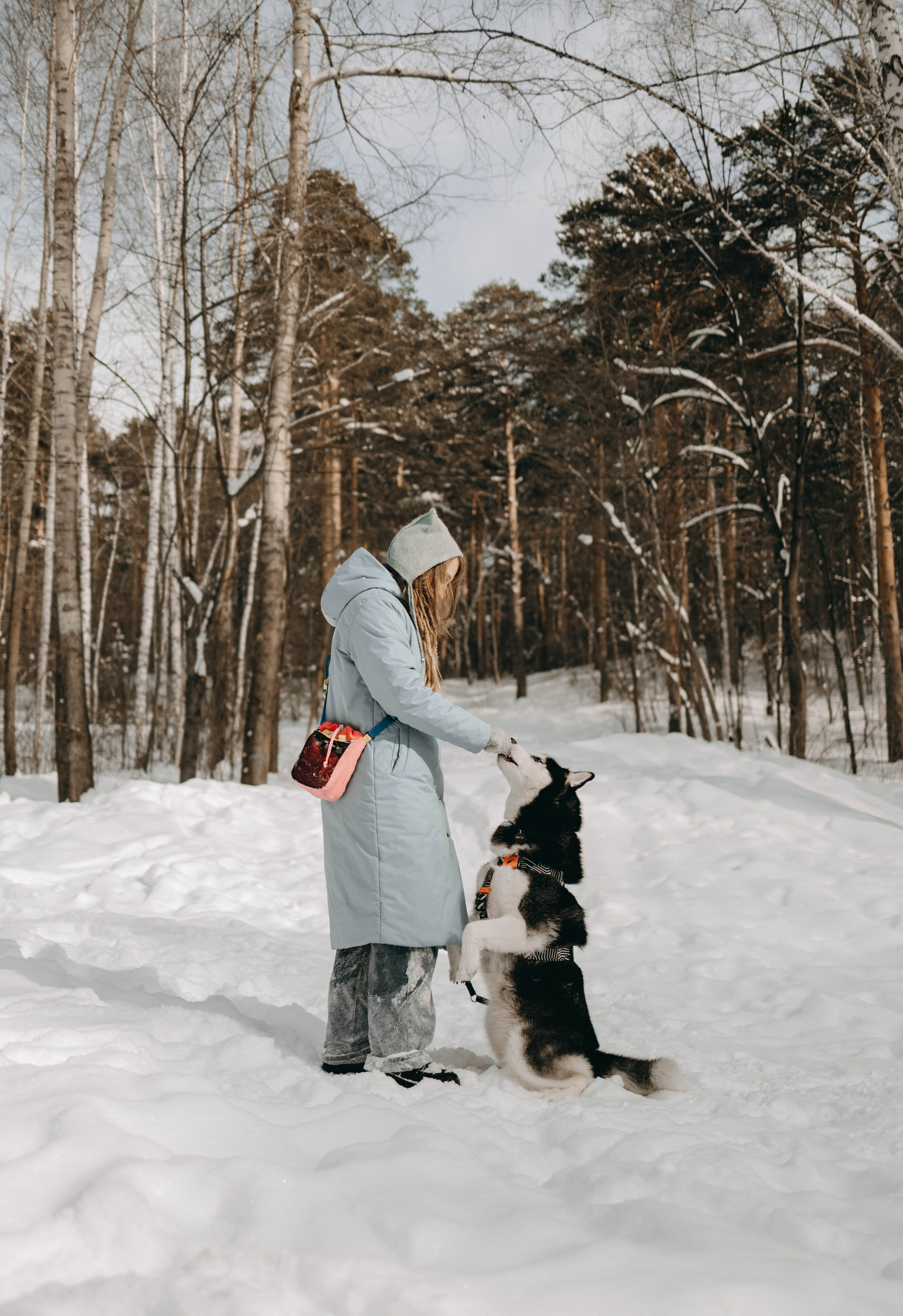 Анна и Вегас. Фотограф-анималист в Екатеринбурге | Кристина